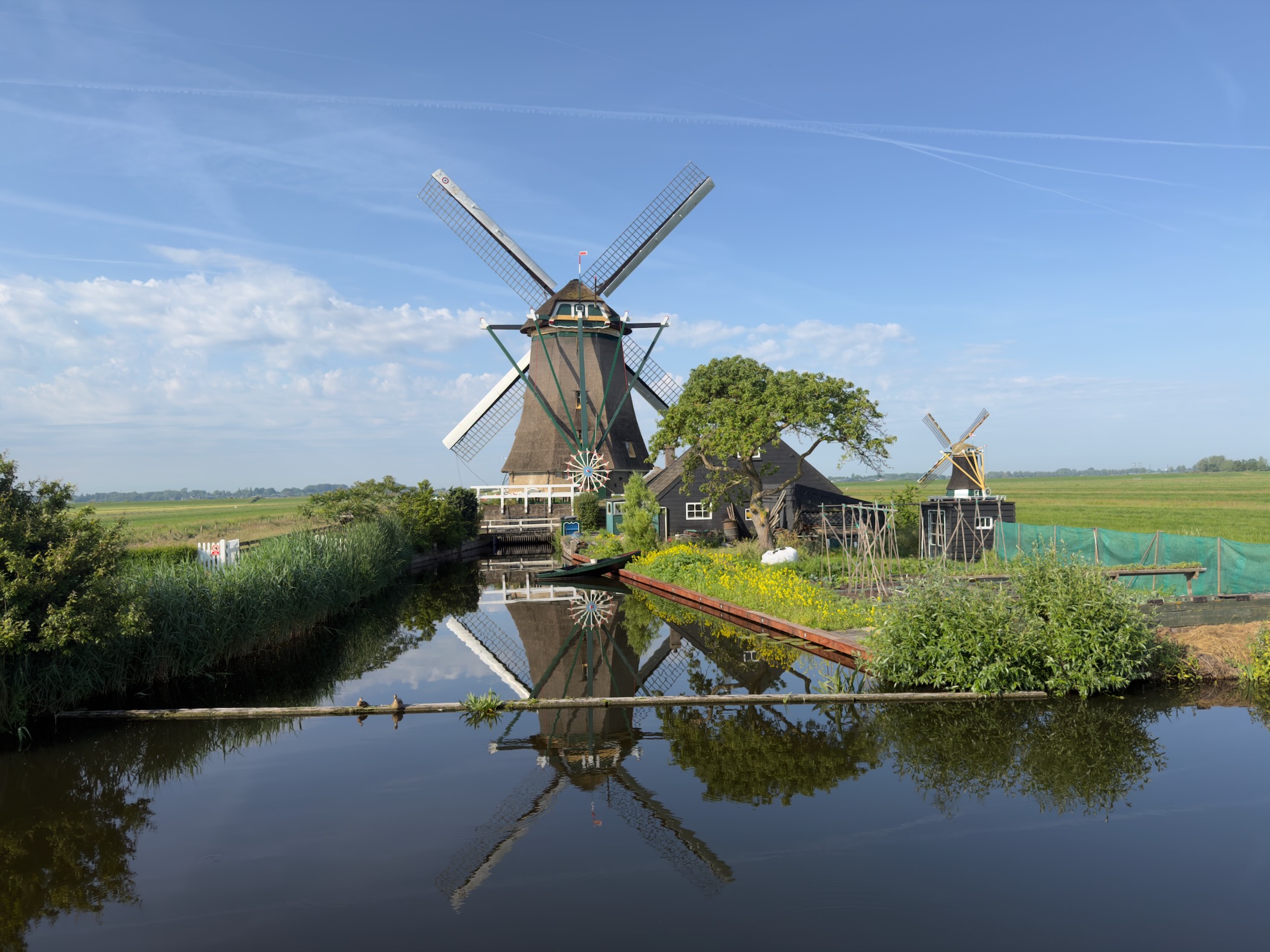 Two windmills of the Aarlanderveen complex mirrored in a still canal, with a black barn and a leafy tree between them