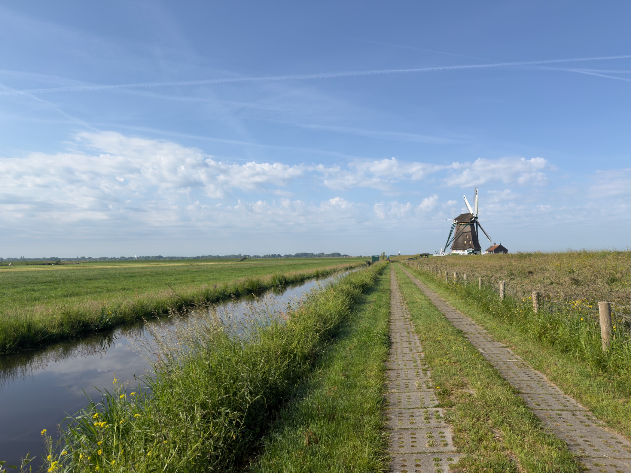 Grassy track running straight towards a windmill on the horizon, a reed-fringed canal alongside under a bright sky