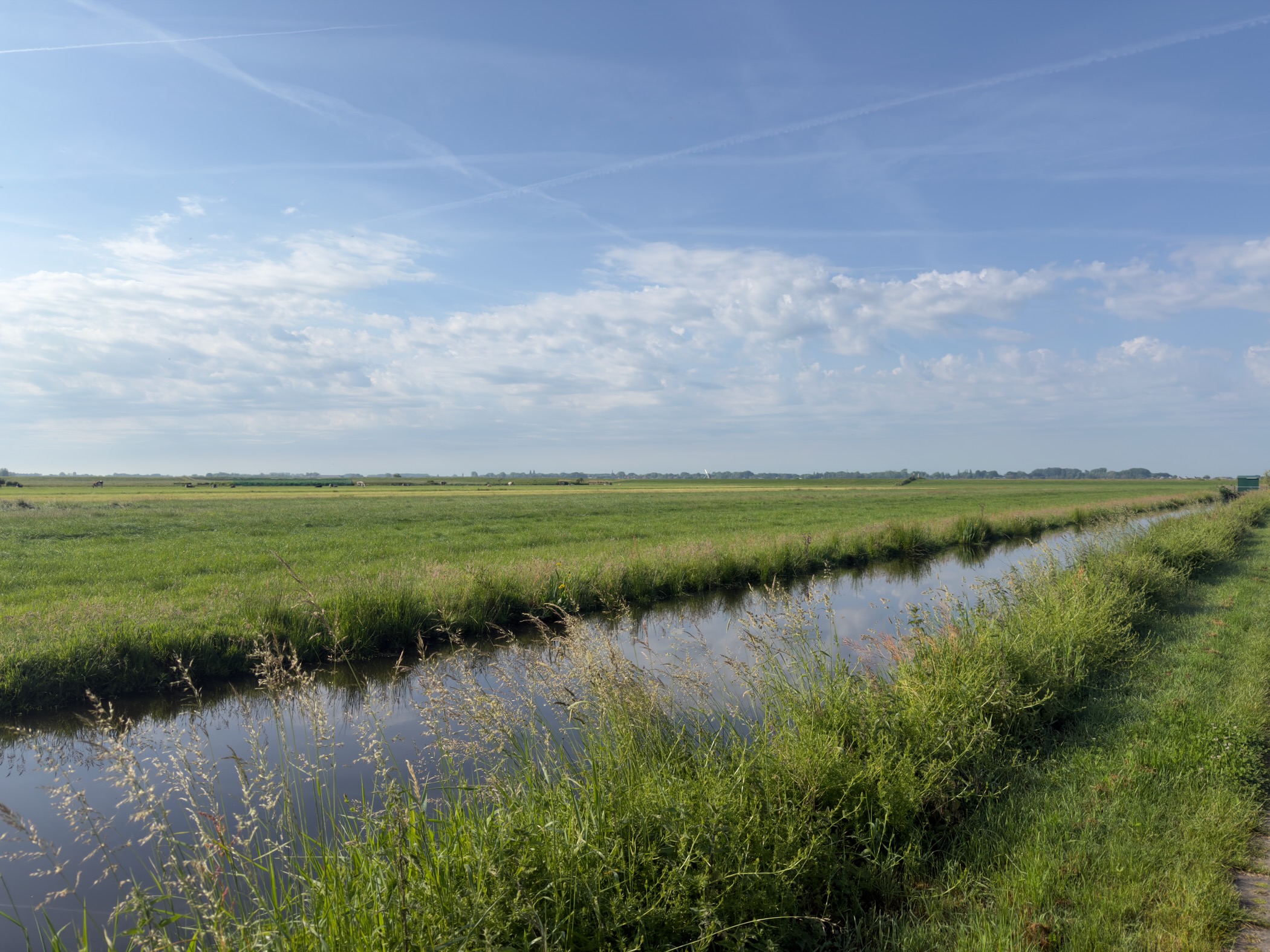 Wide green polder with a ditch cutting across it under a big sky scattered with cloud