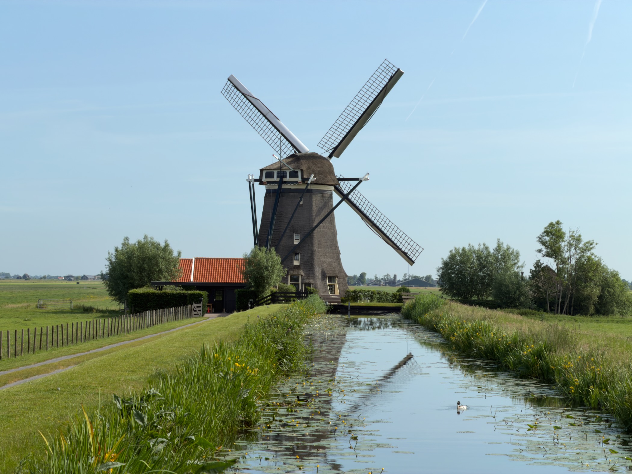 Thatched windmill with white-tipped sails beside a reed-lined canal, a small red-roofed house at its foot and a duck on the water