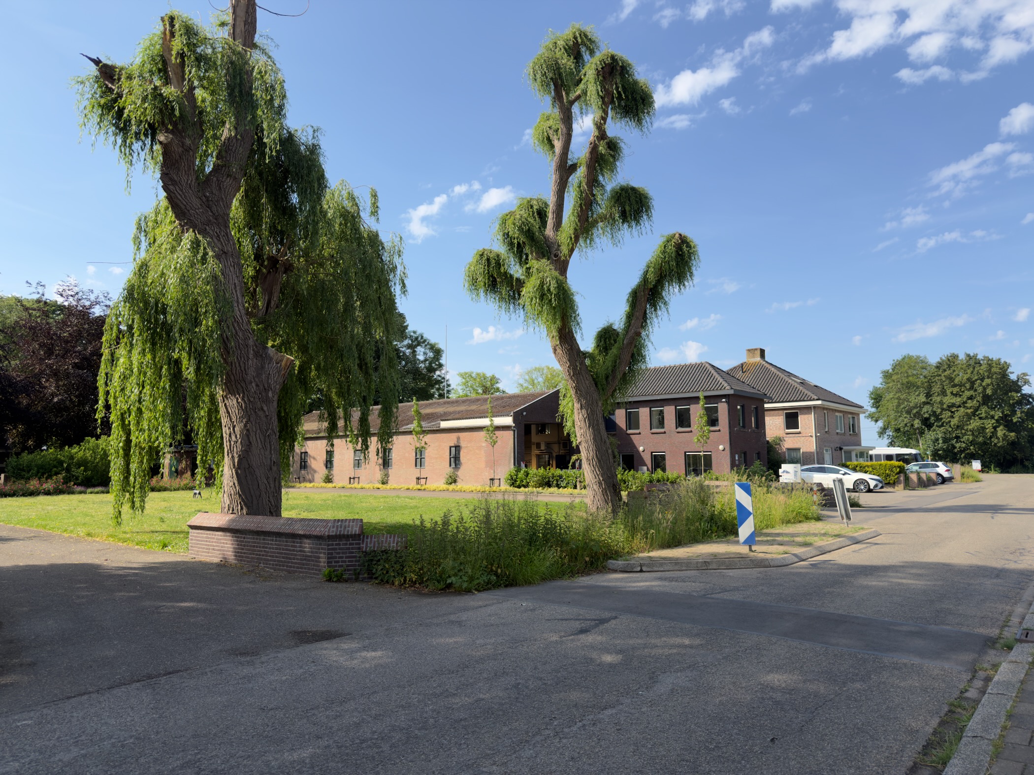 Long brick building behind two heavily pollarded willow trees, with cars parked alongside under a blue sky