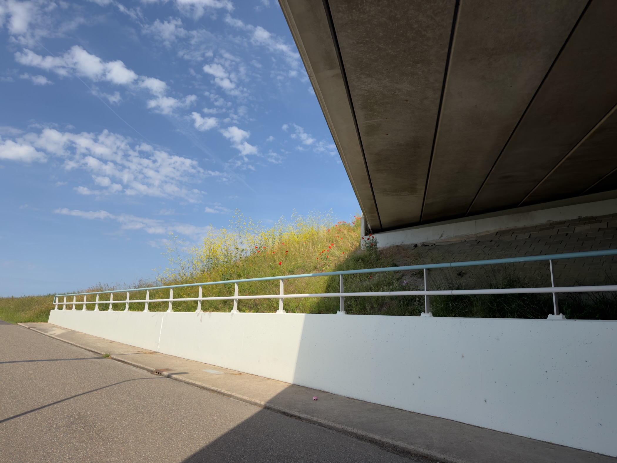Concrete underpass with a white retaining wall and railing, wildflowers and poppies on the grassy bank above