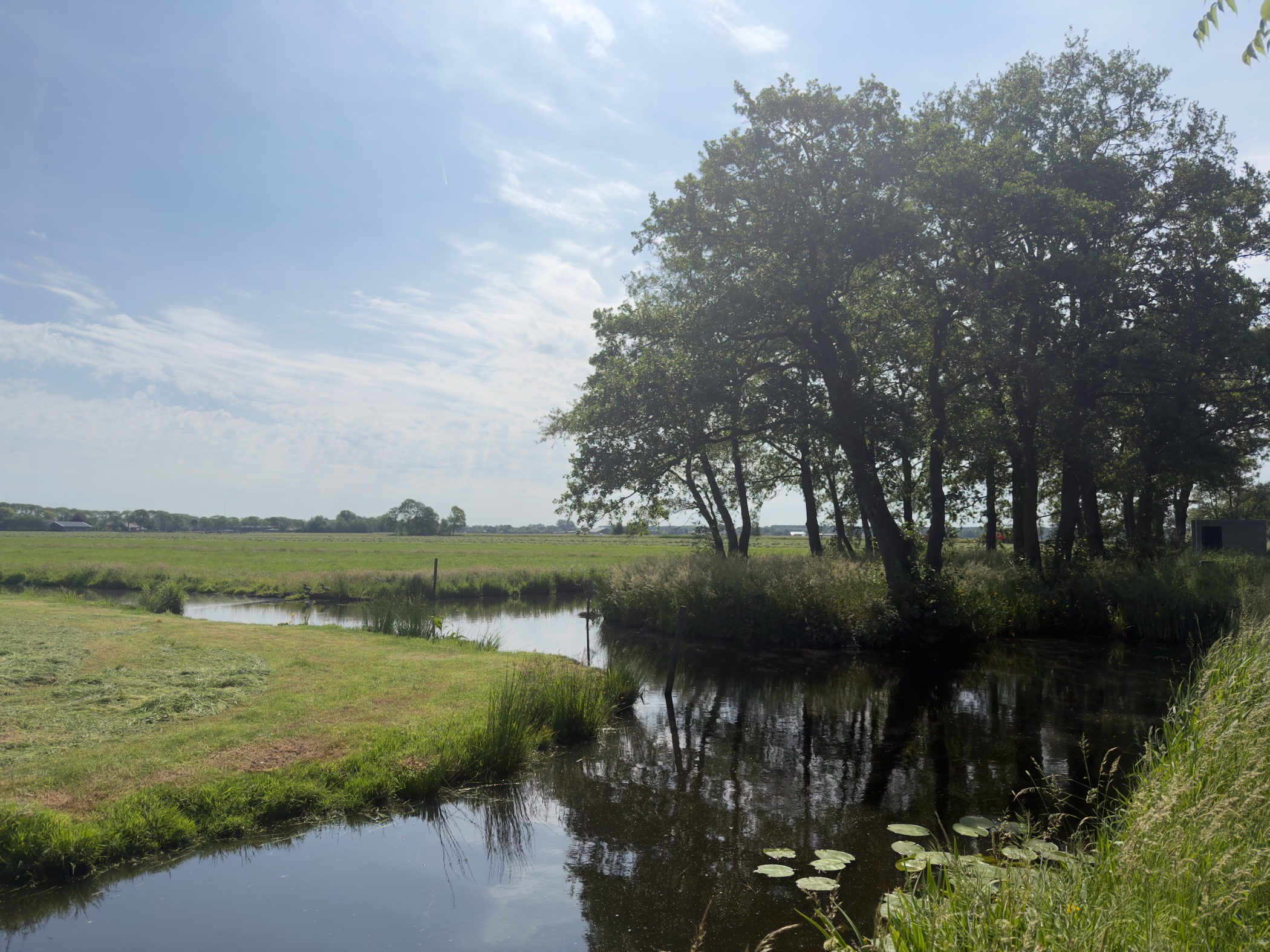 Canal curving past a stand of trees with open meadow beyond and lily pads in the foreground