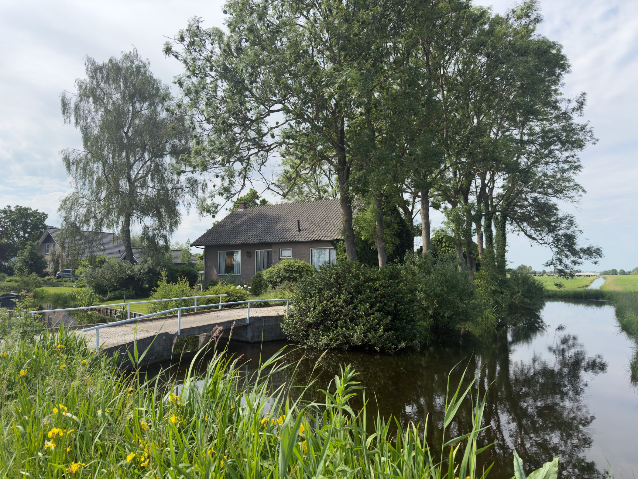 House half hidden among willow trees beside a canal, a small footbridge crossing the water and reeds in the foreground