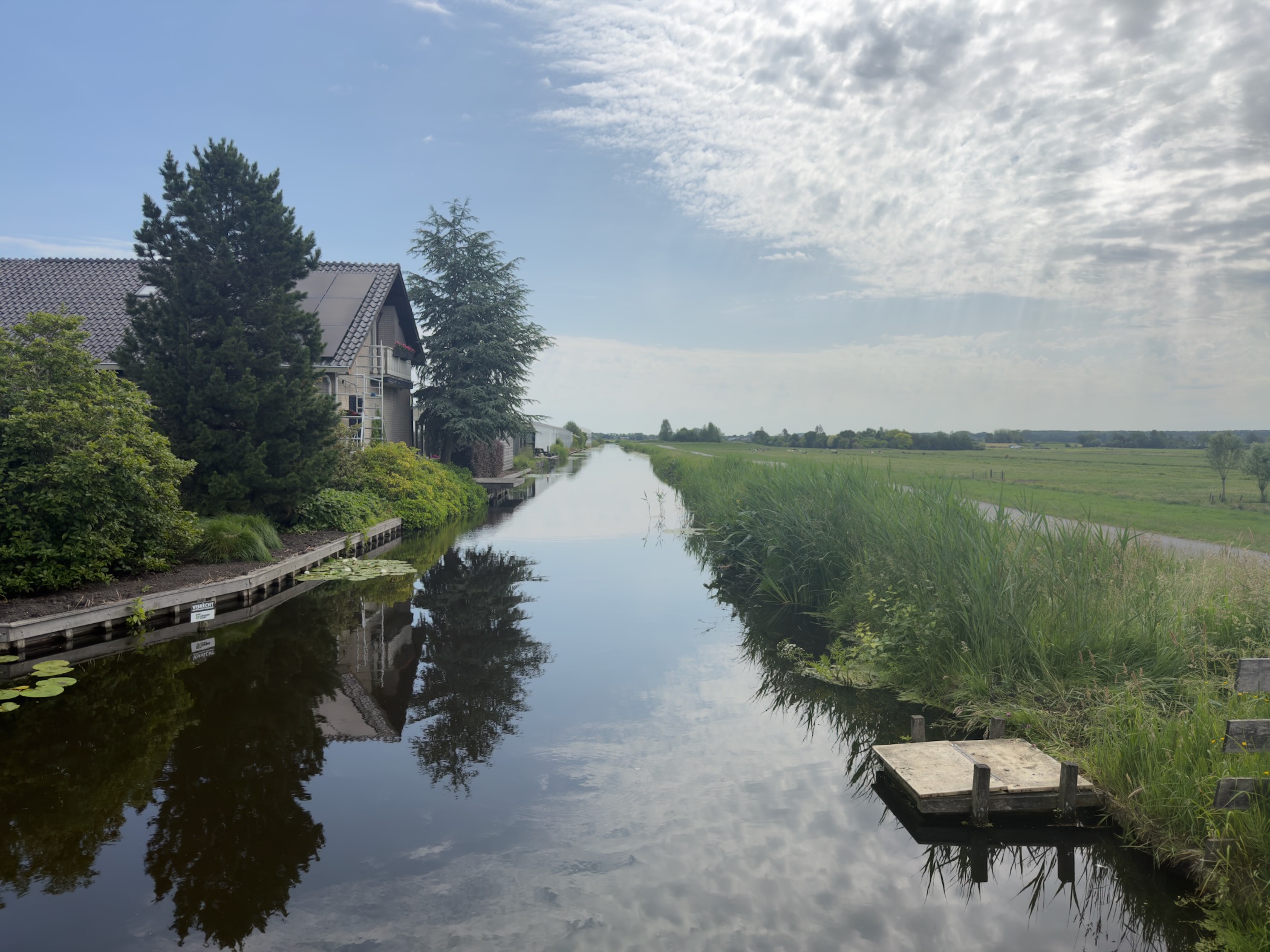 Canal running straight into the distance, a house with a tall conifer on the left bank and a reed-fringed meadow with a small jetty on the right