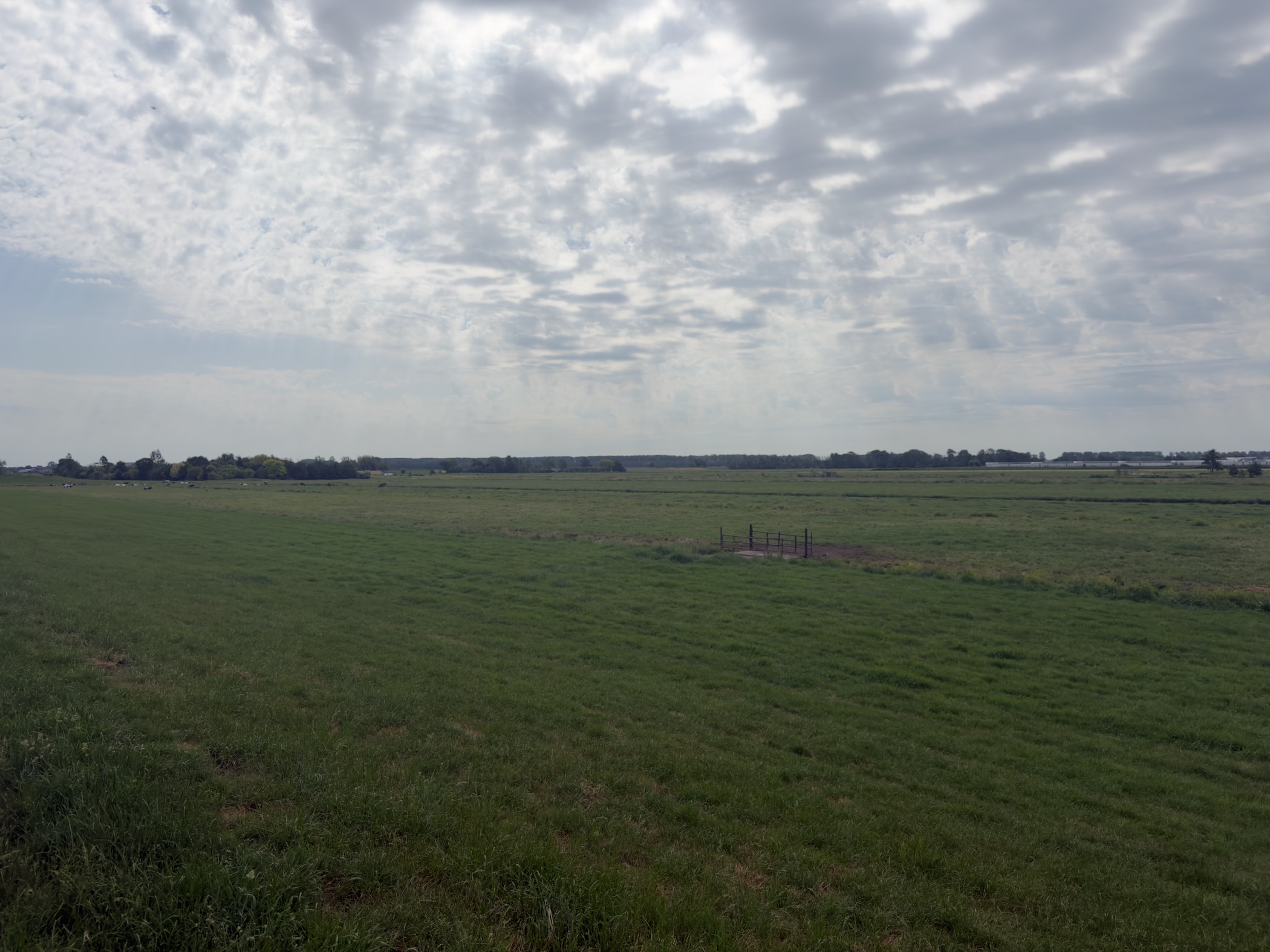 Wide flat polder meadow stretching to a low tree-lined horizon under a broad sky of broken cloud