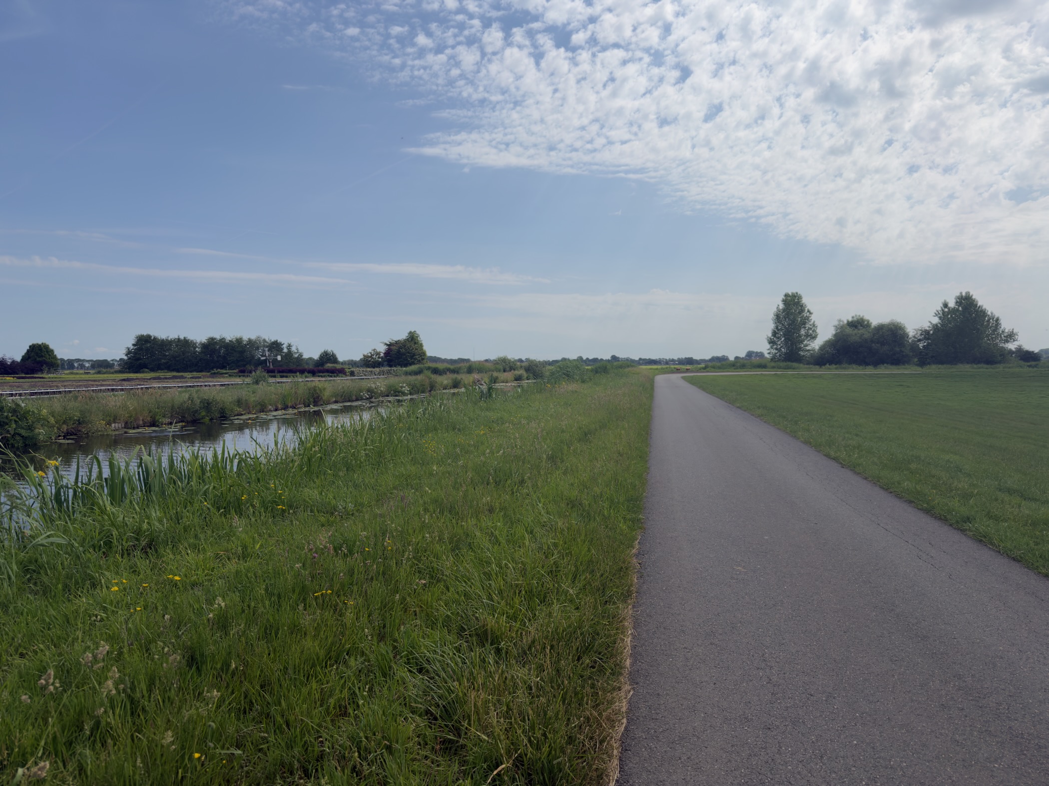 Paved path running alongside a reed-lined ditch through open meadow under a blue sky scattered with cloud