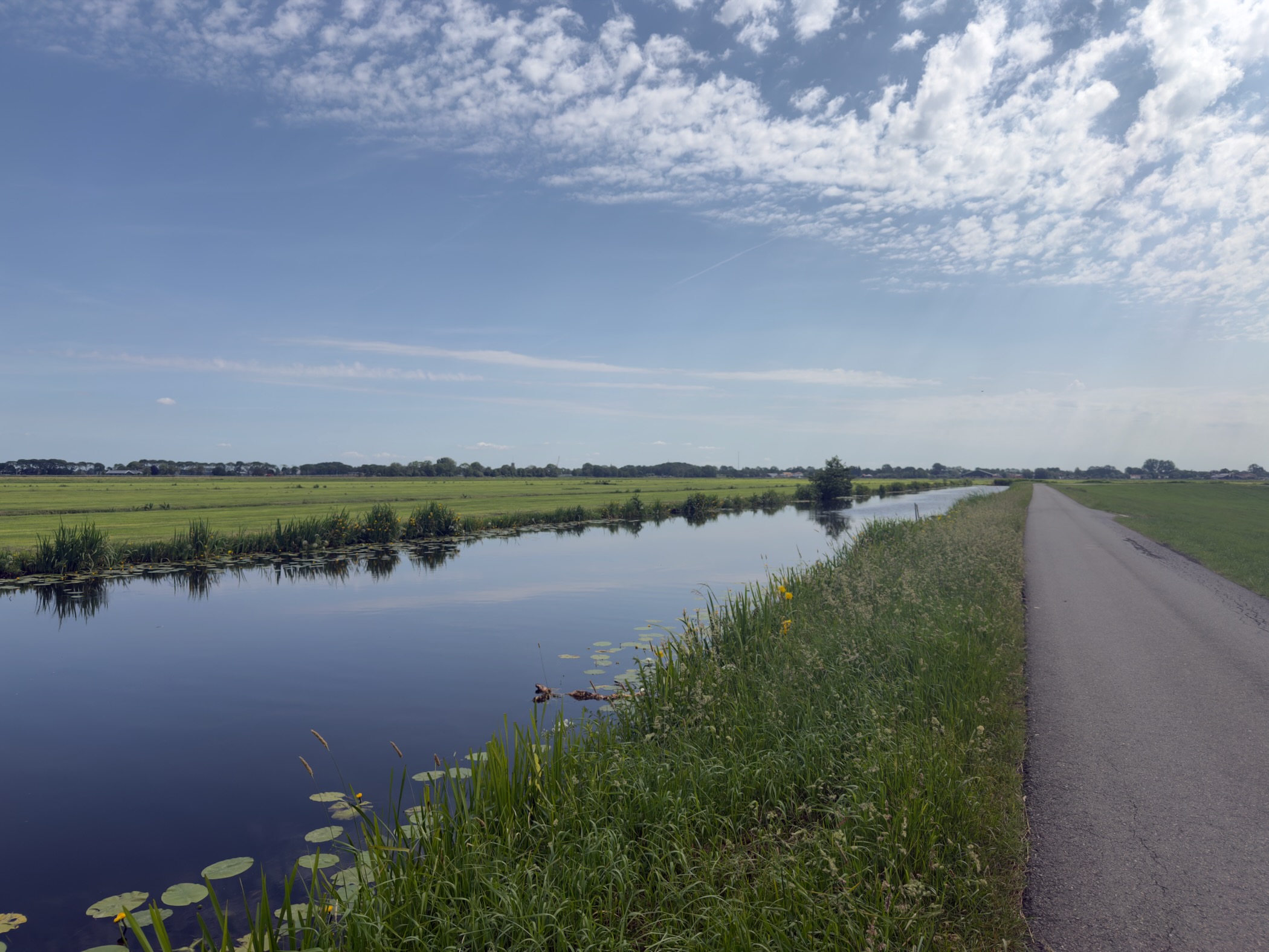 Broad calm canal reflecting the sky, a paved path along the right bank with lily pads and reeds in the foreground