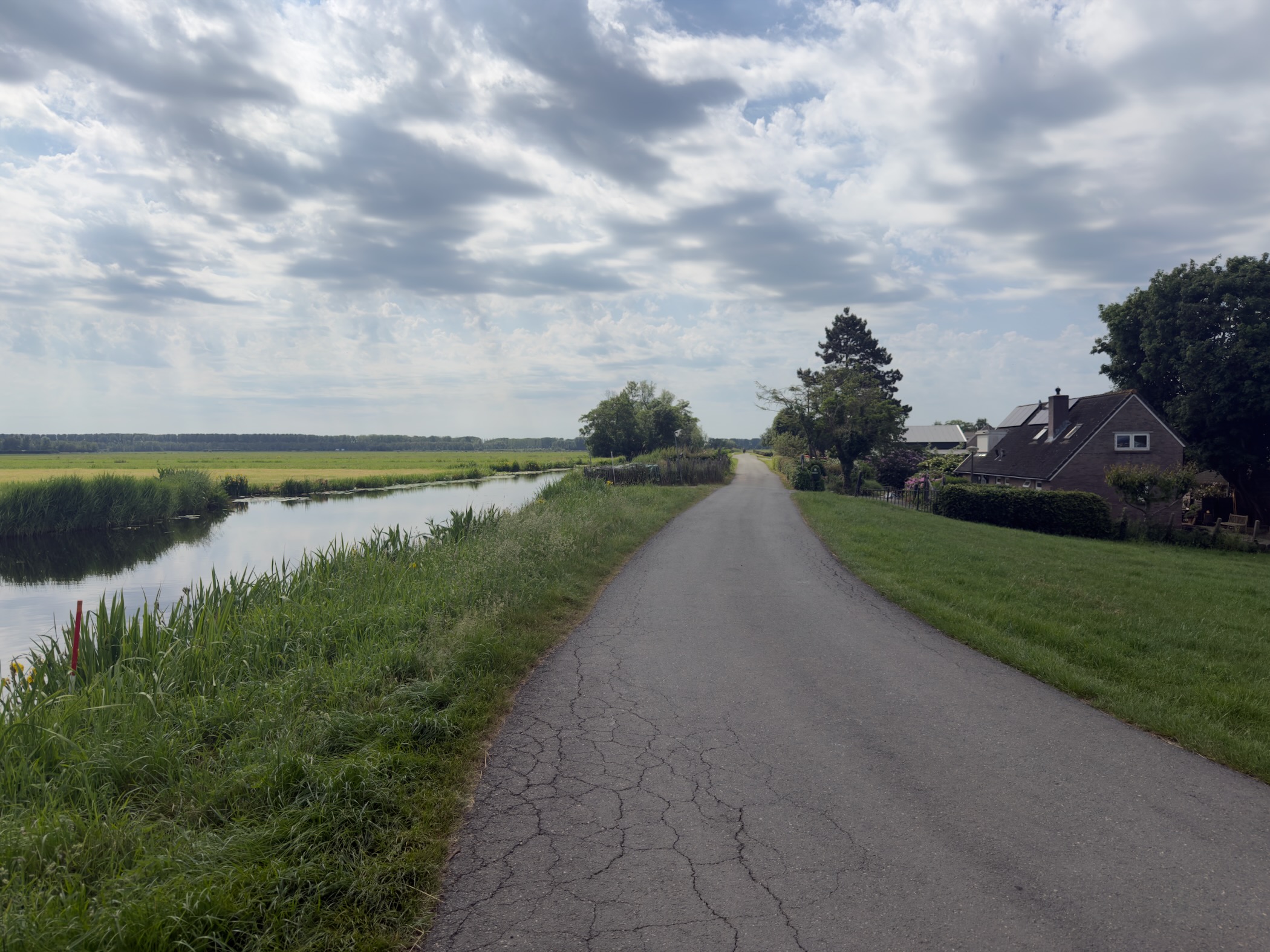 Cracked tarmac lane running through polder beside a reed-lined canal, houses and trees to the right under a cloudy sky