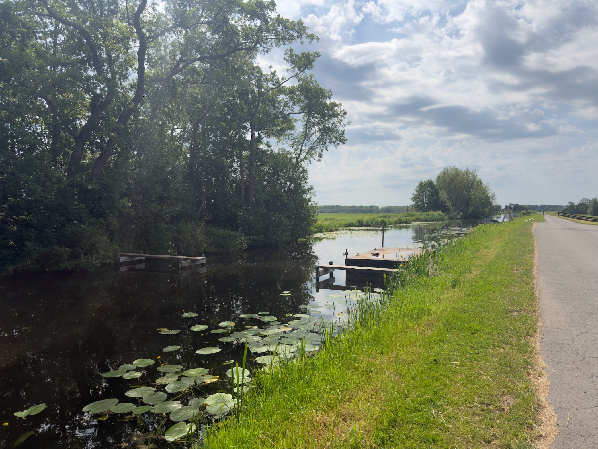 Canal bend overhung by trees with a small jetty and moored boat, lily pads in the foreground and a paved path on the right