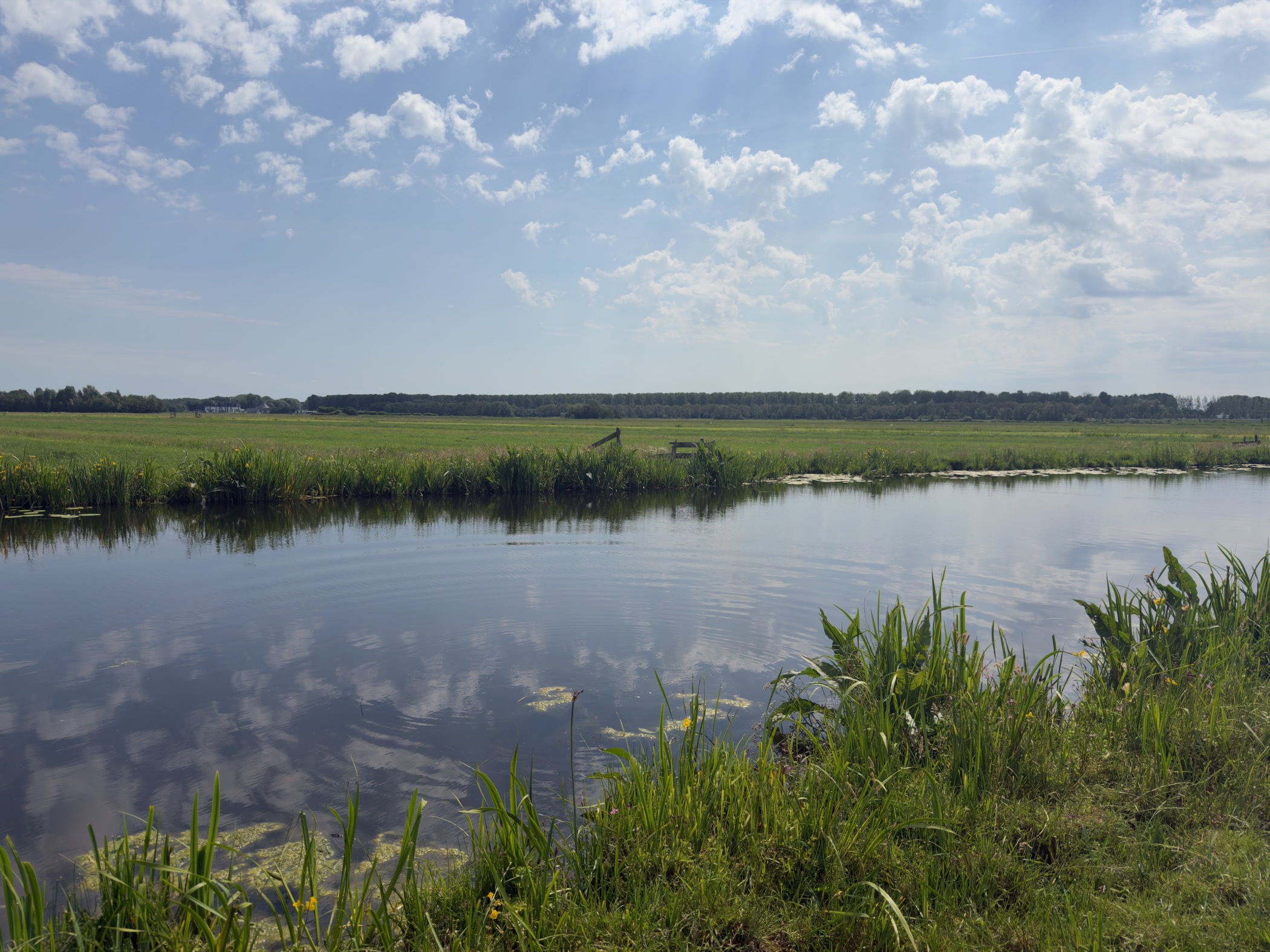 Broad reed-fringed waterway reflecting the clouds, with open polder and a distant tree line under a bright sky