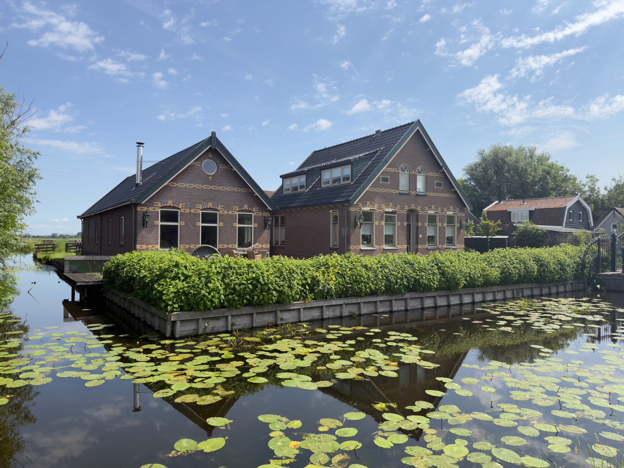 Two brick houses with stepped gables behind a clipped hedge at the water's edge, lily pads spreading across the canal in the foreground