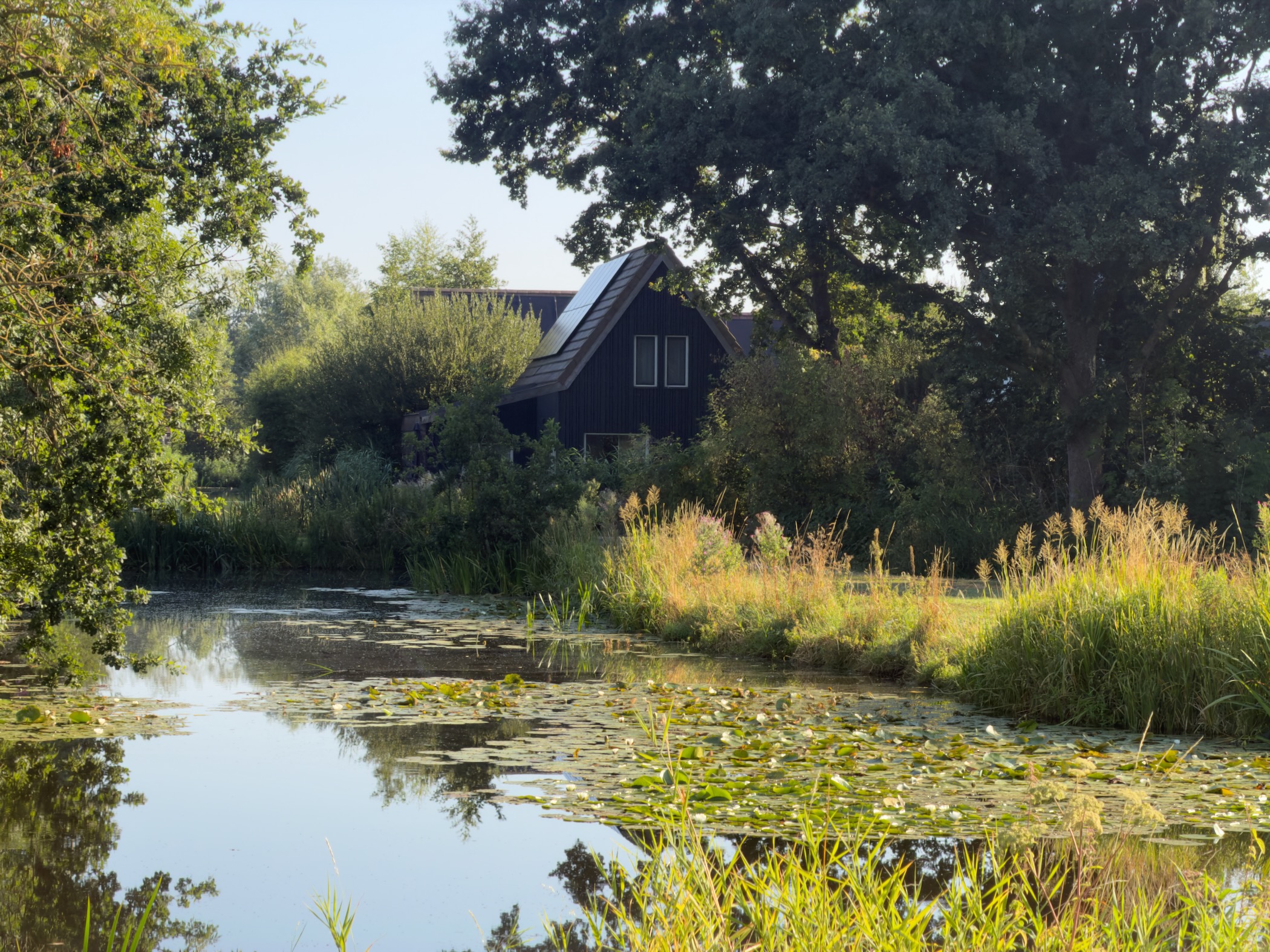 Dark wooden house with solar panels on the roof, set among trees beside a canal covered with water lilies