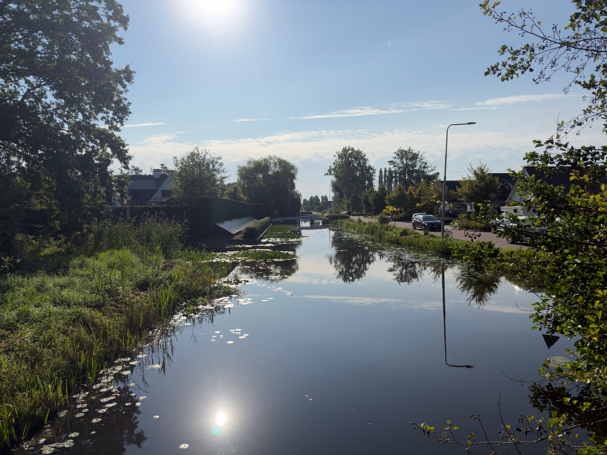 Calm residential canal with lily pads, a small footbridge, and houses reflected in the still water under a bright sun