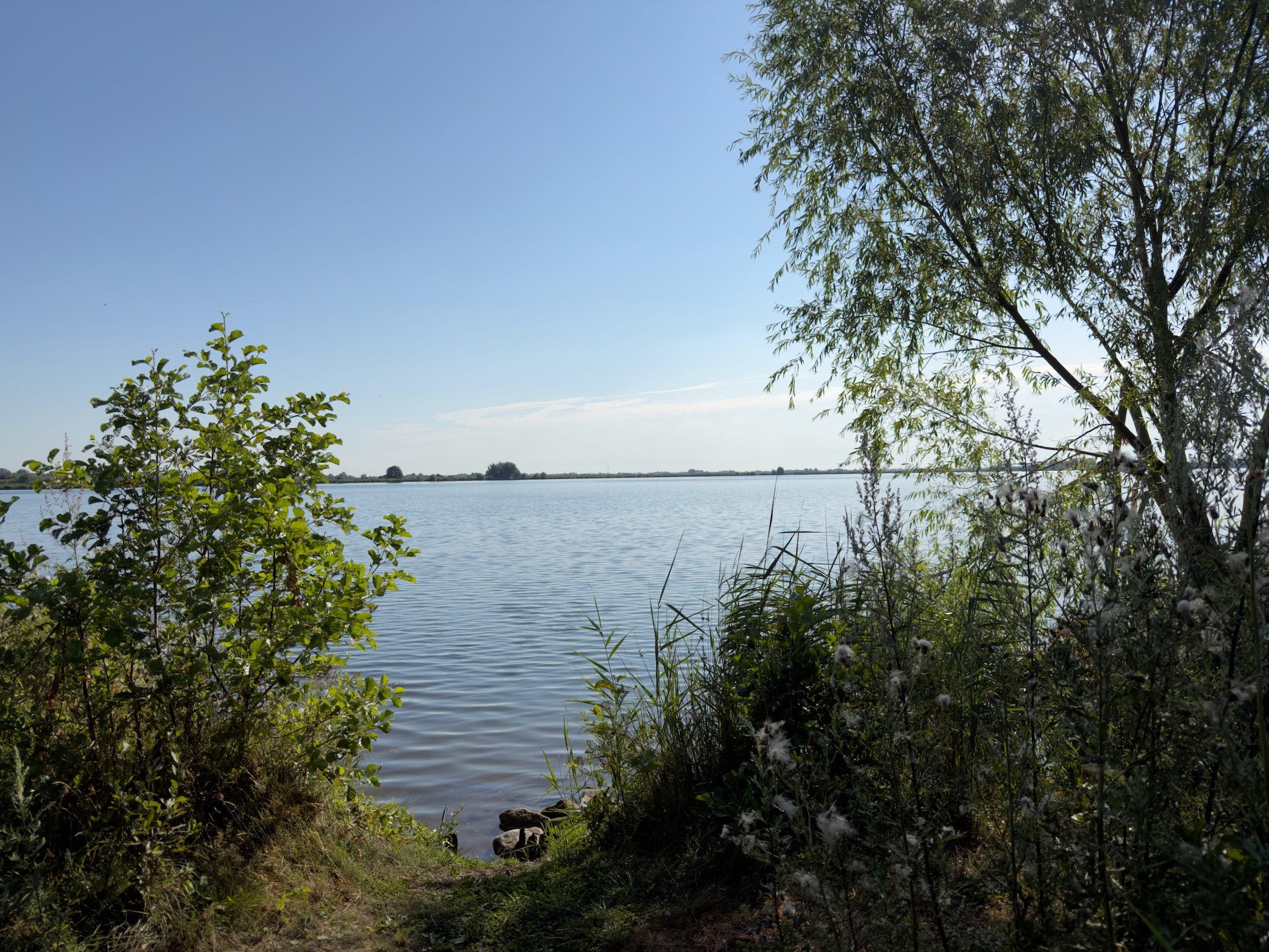 View across a wide lake framed by bushes and a willow tree under a clear blue sky
