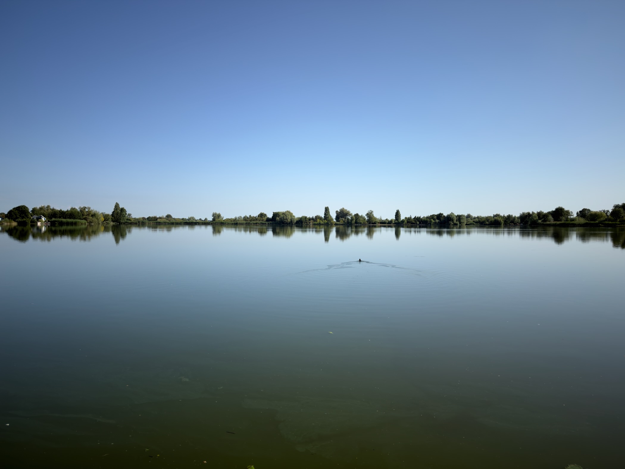 Mirror-still lake under a cloudless blue sky with a duck leaving a wake across the water