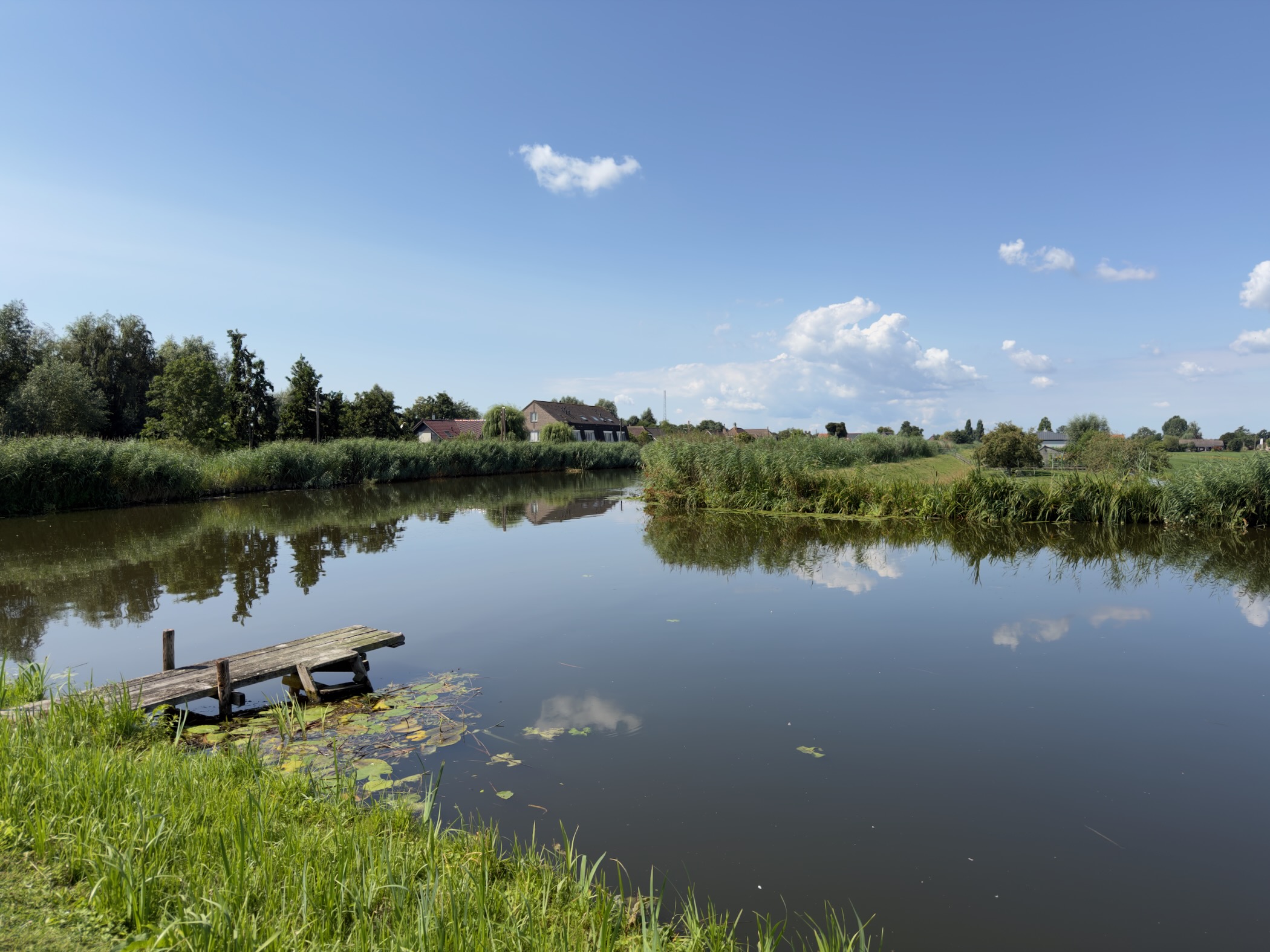 Wooden jetty on a still pond with farmhouses reflected among reeds under a blue sky with white clouds