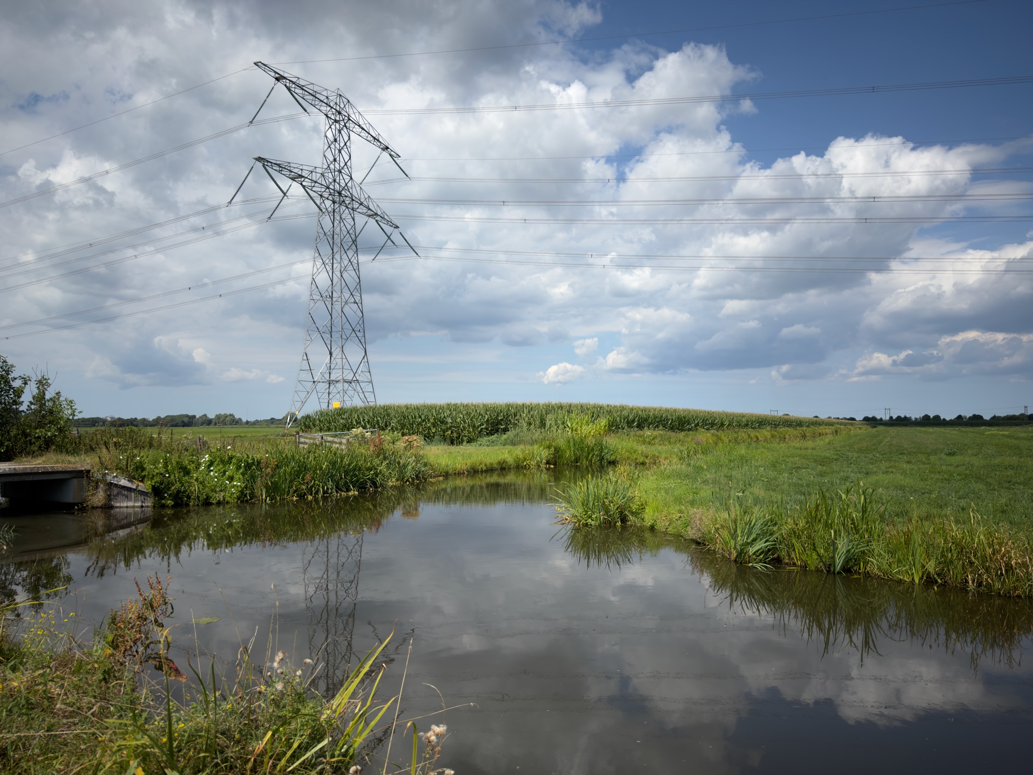 Electricity pylon beside a ditch and a field of maize under a sky of heavy white and grey cloud