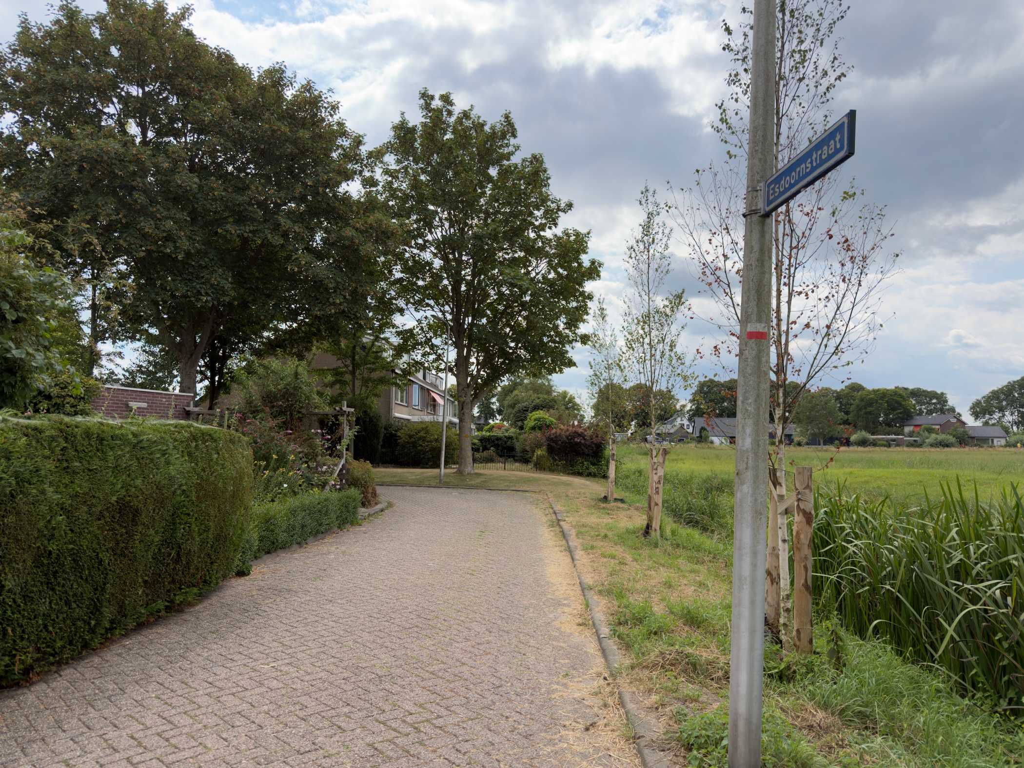 Brick-paved residential street at Esdoornstraat with hedges, young trees, and a red and white trail marker
