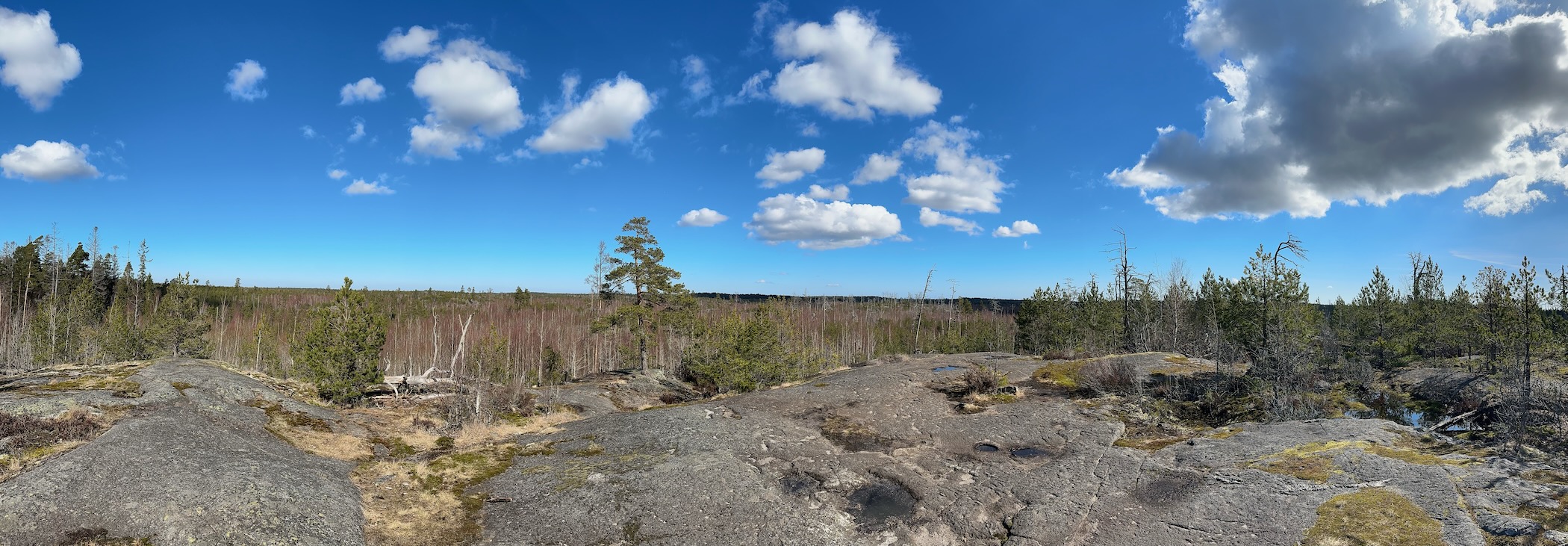 Description