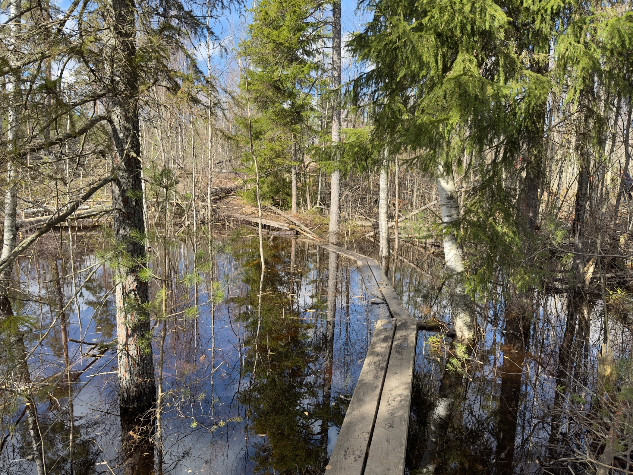 Description