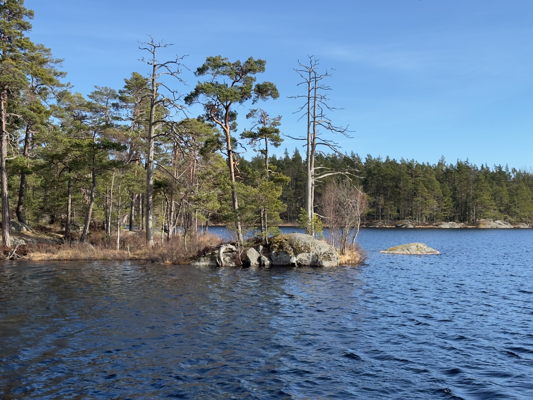 Description