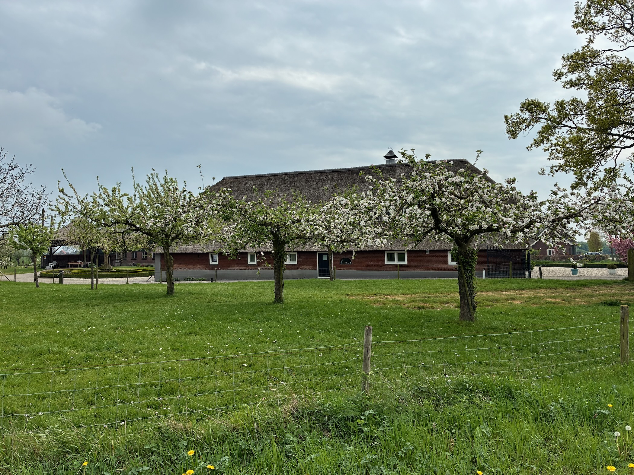 Description