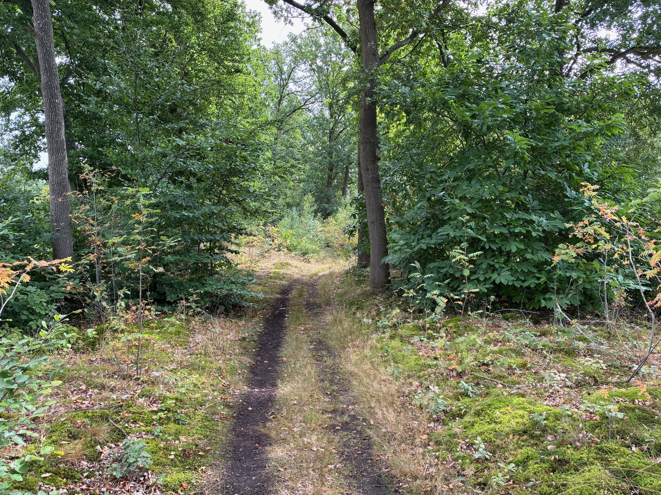 Description