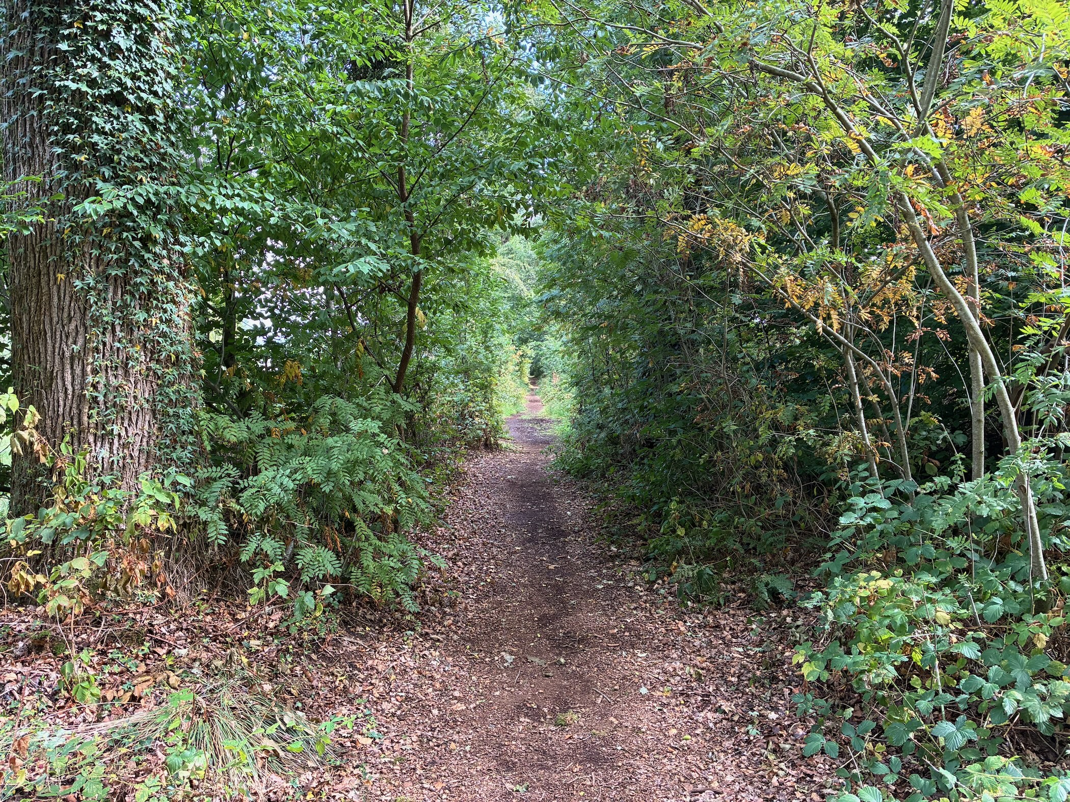 Description