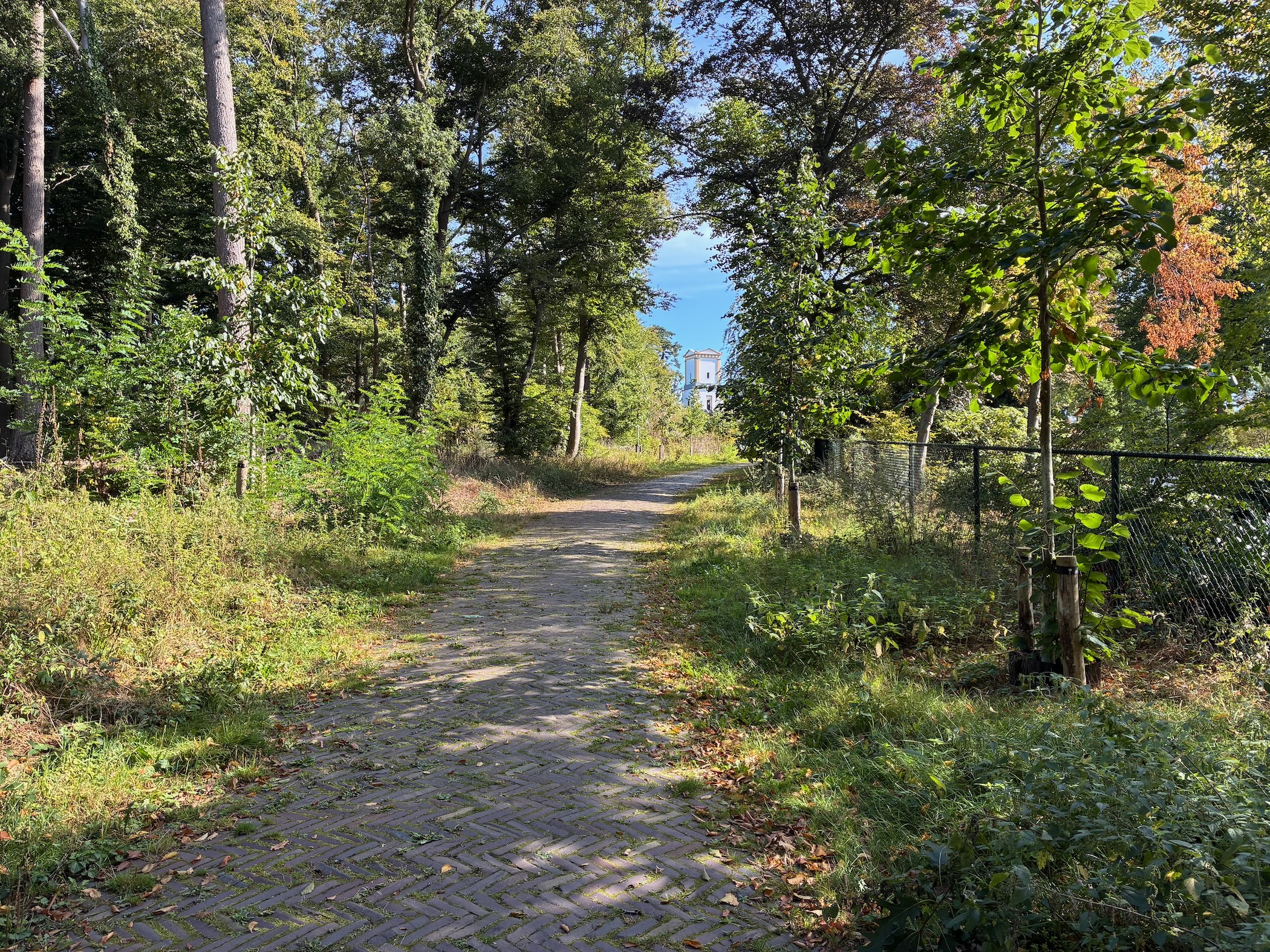 Description