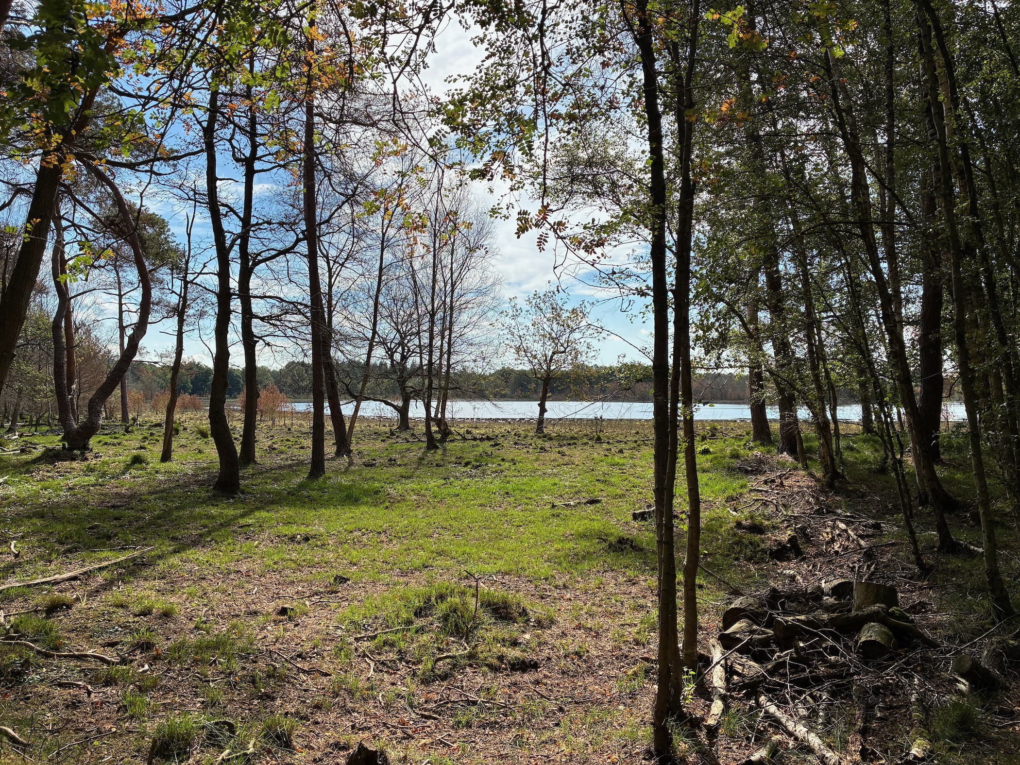 Description