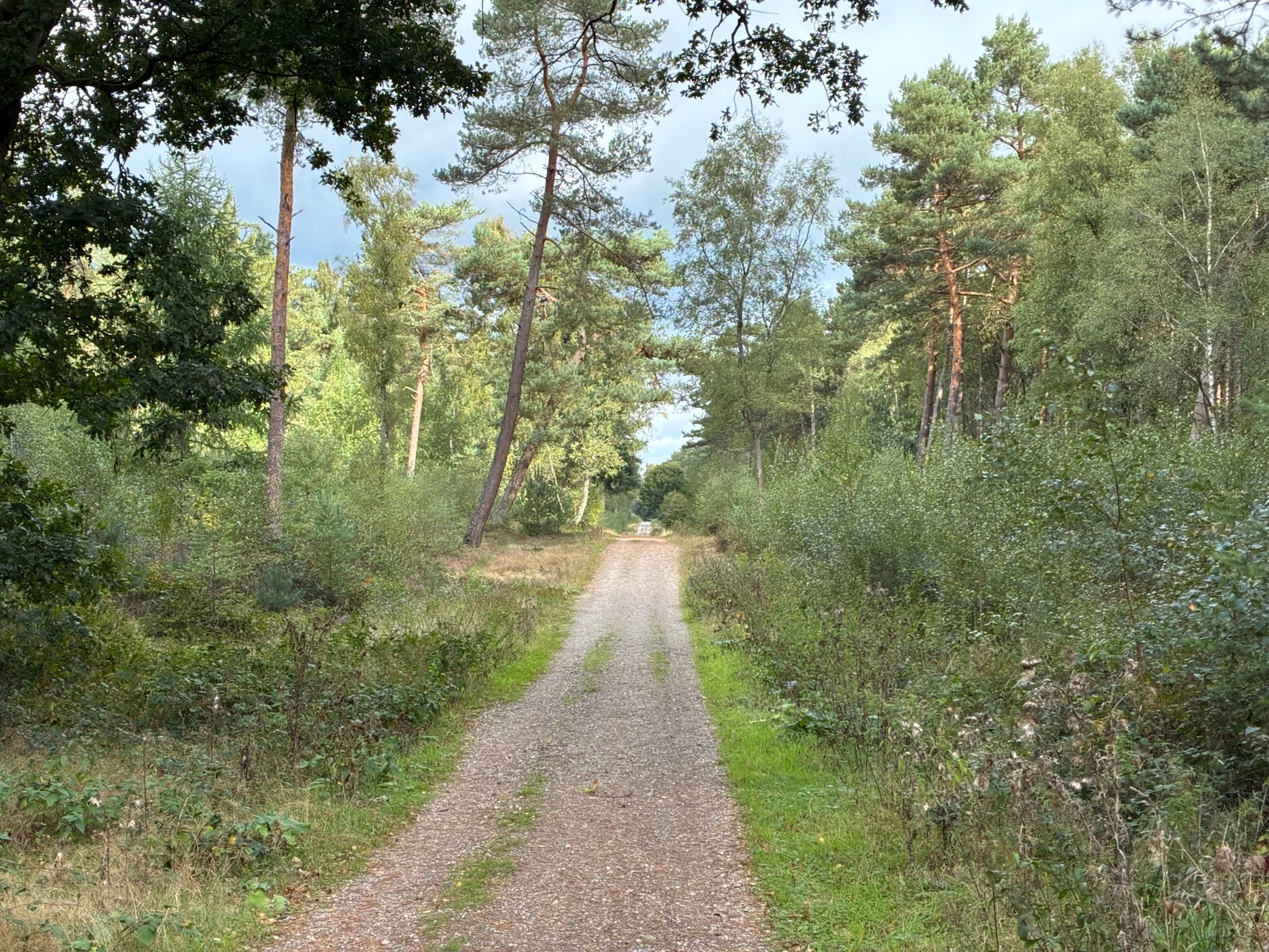 Description