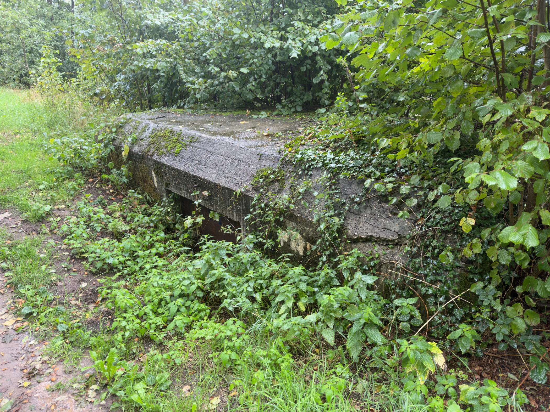 Description