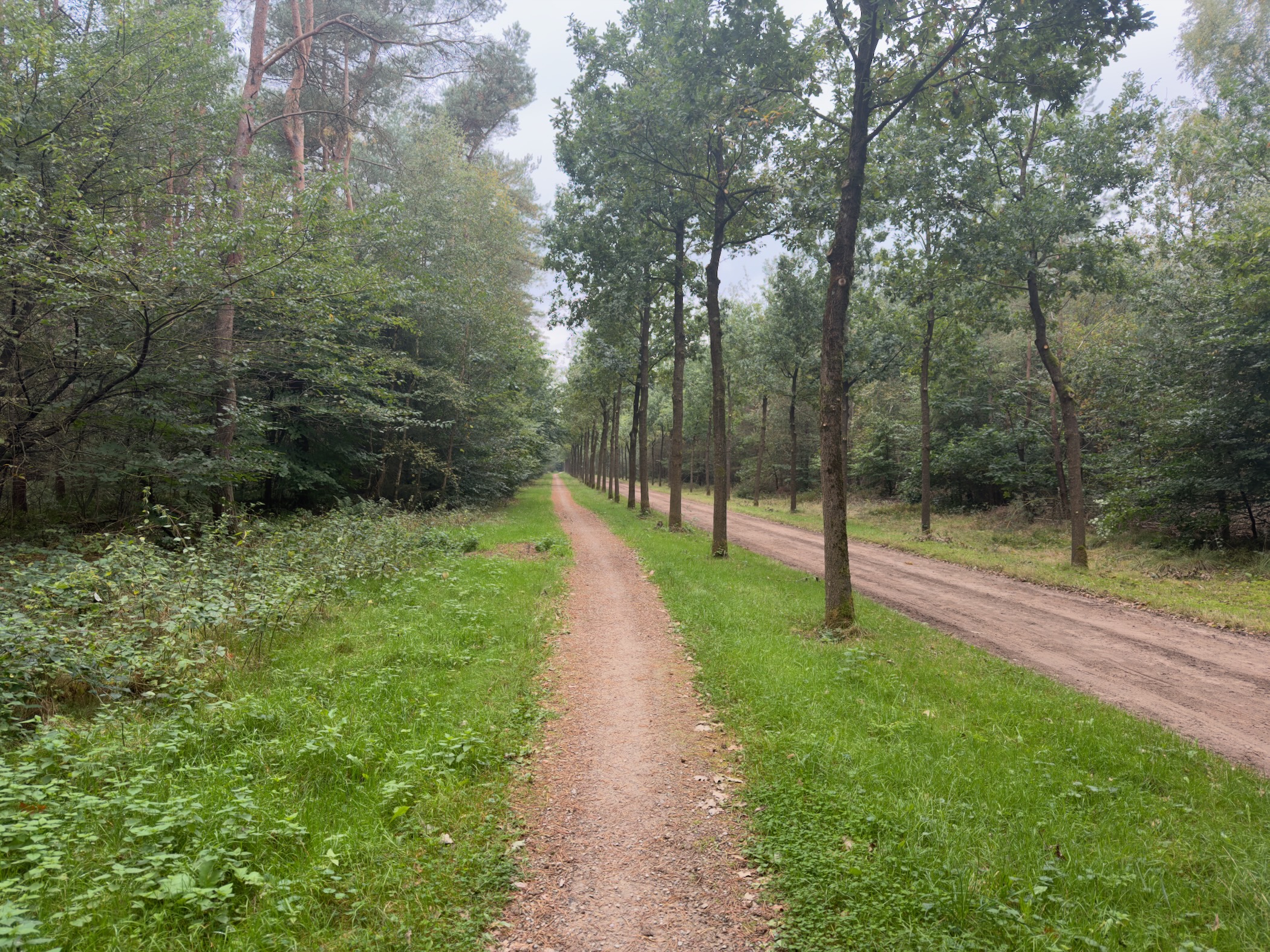 Description