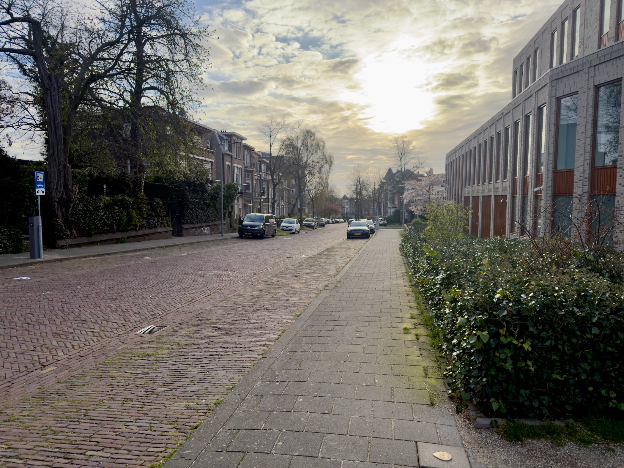 Cobblestone residential street in Arnhem with parked cars and a dramatic sky