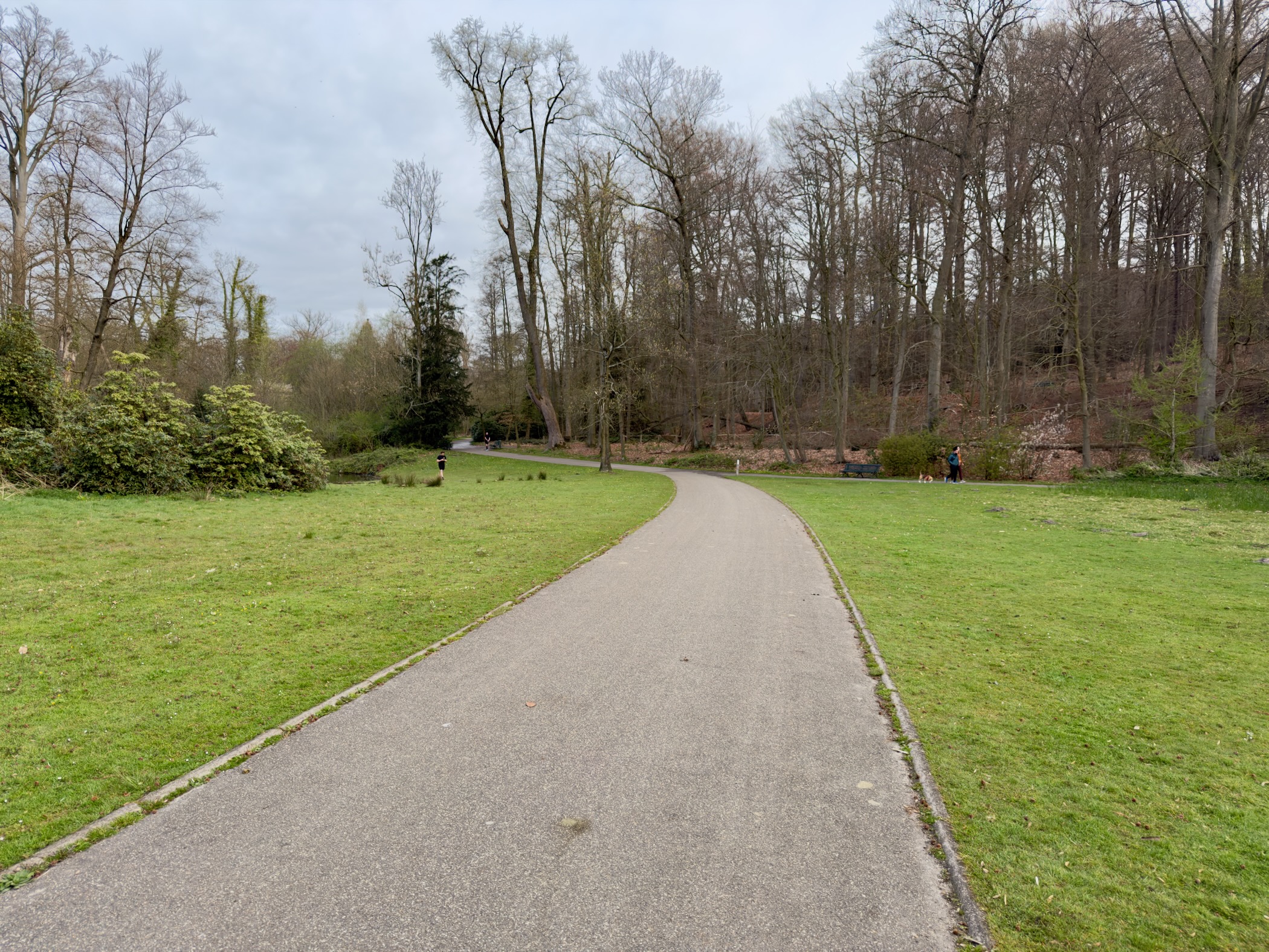 Winding paved path through a park with lawns and bare trees
