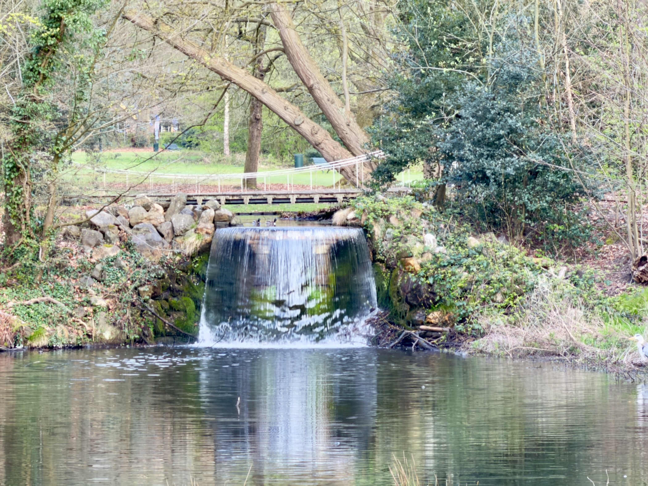 Small waterfall cascading over a stone weir in a wooded park
