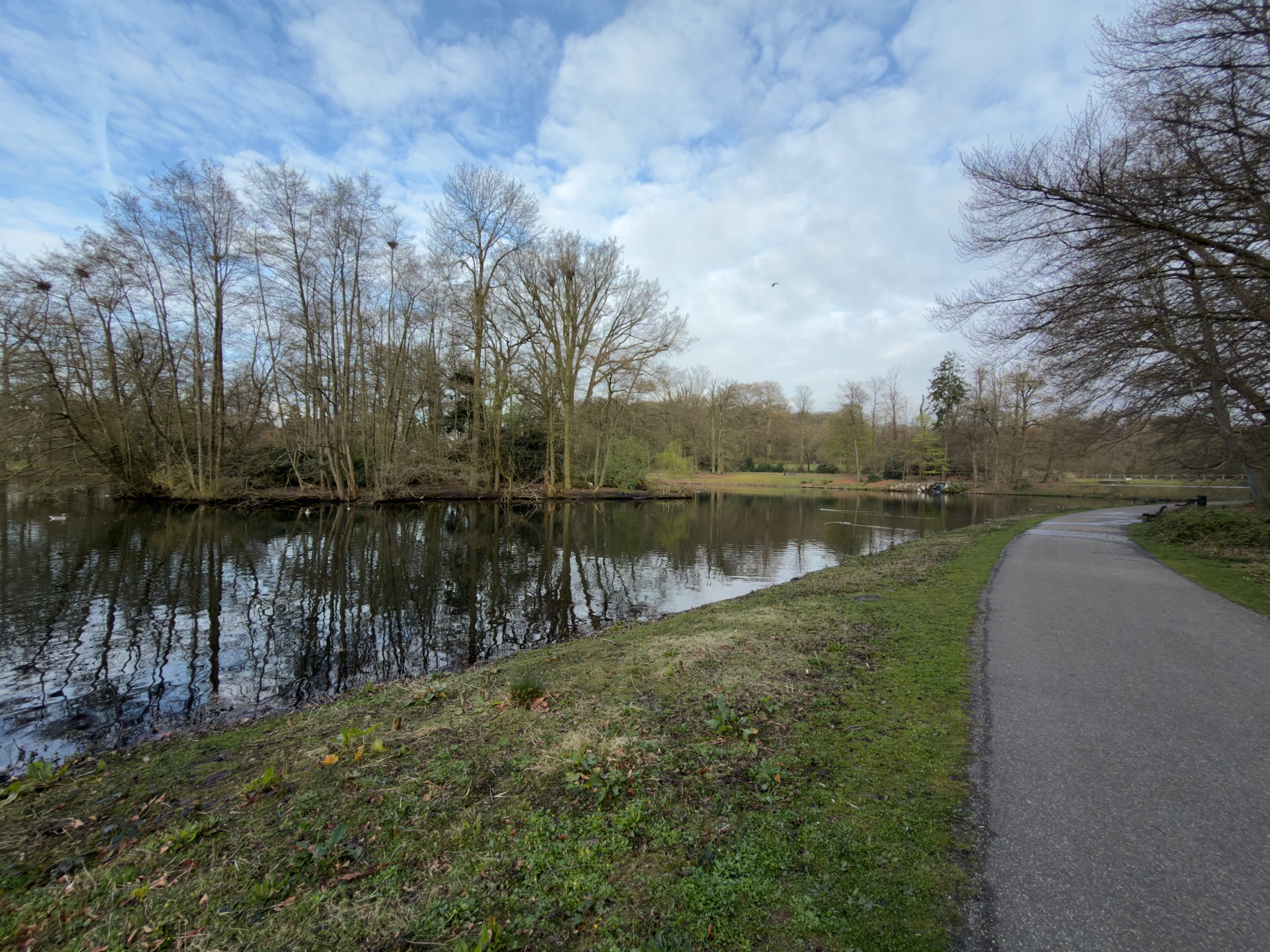 Pond with trees reflected in the water along a park path