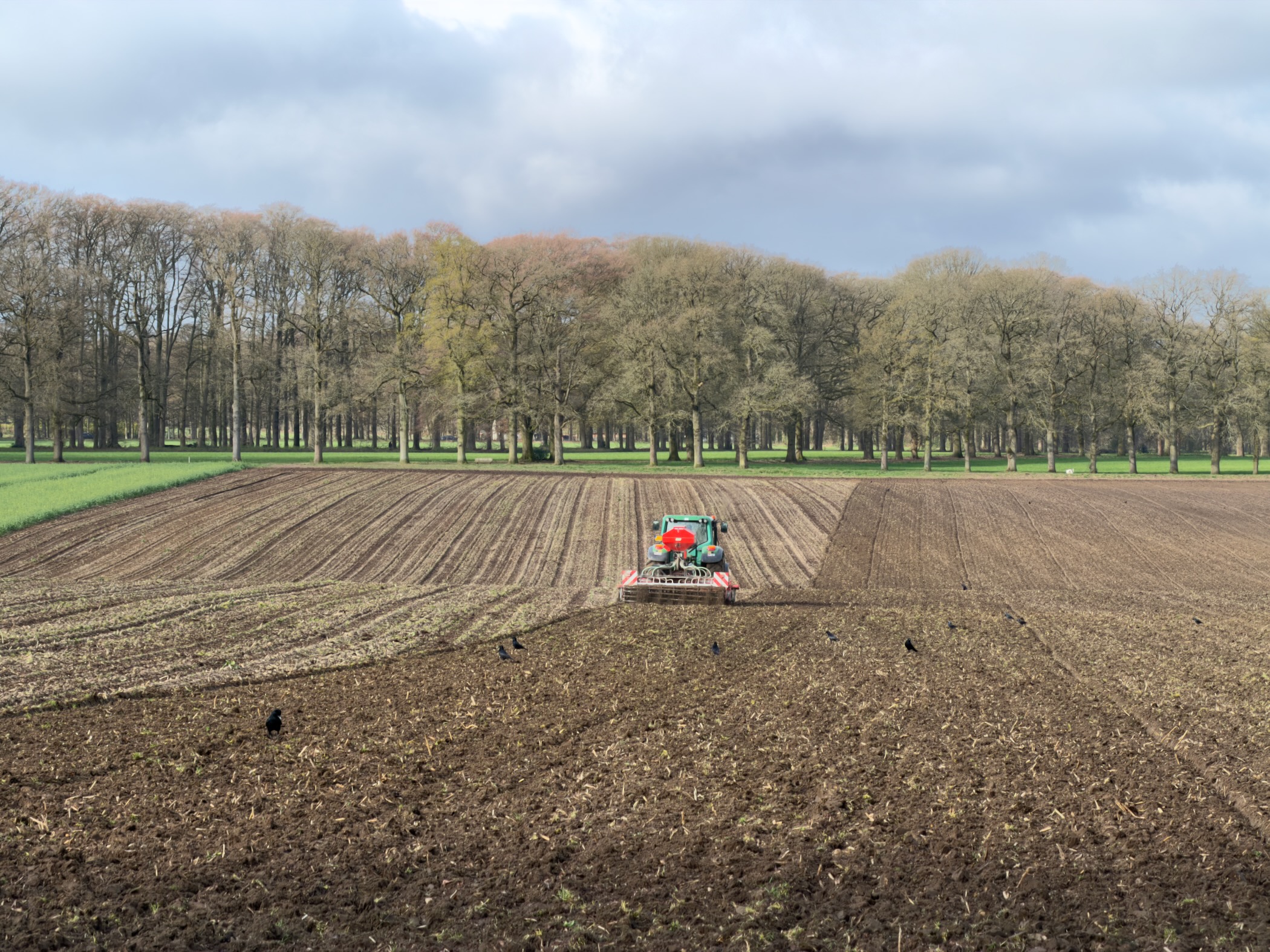 Tractor plowing a field with a row of trees in the background