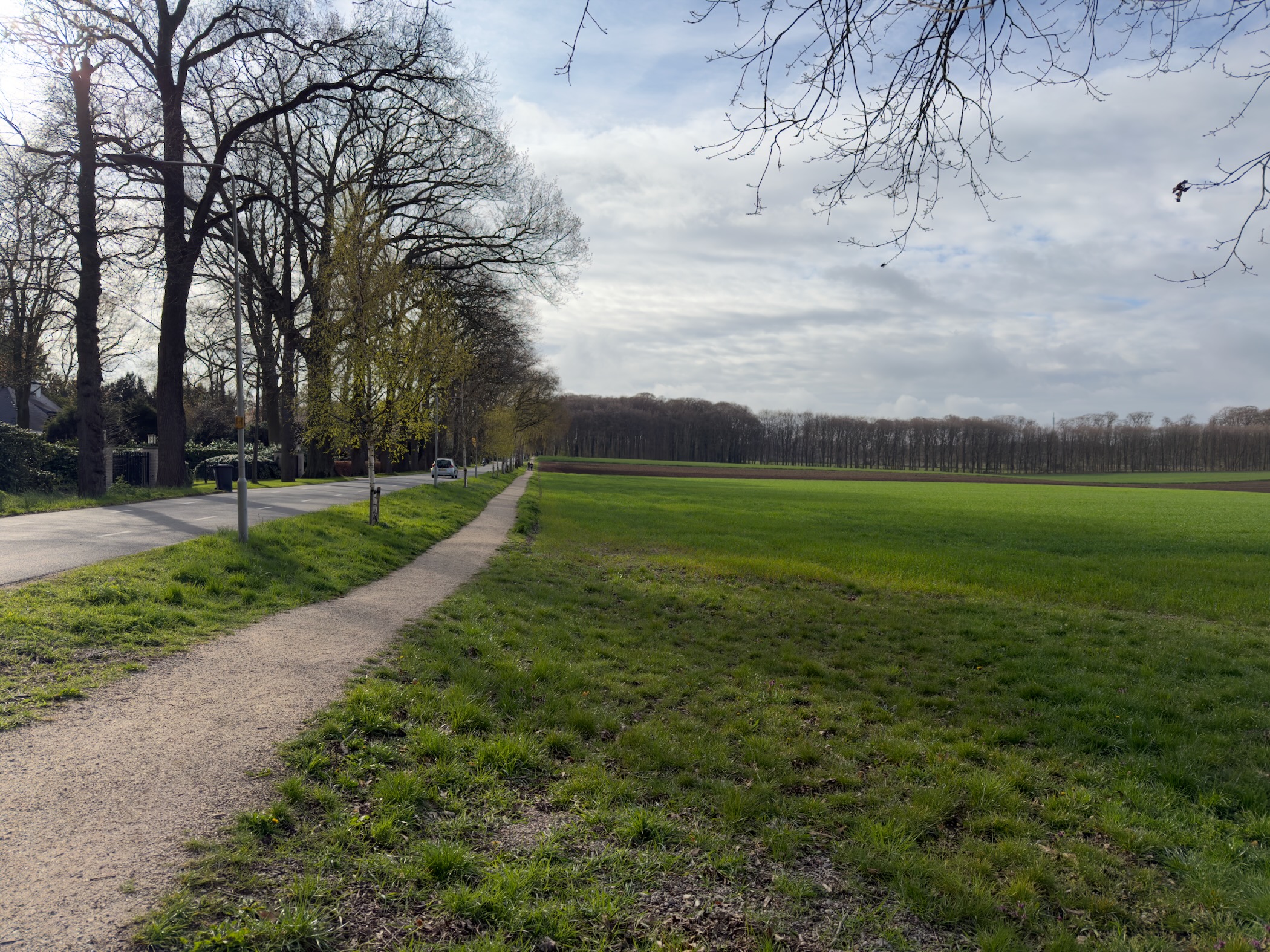 Path alongside a tree-lined road with green meadows