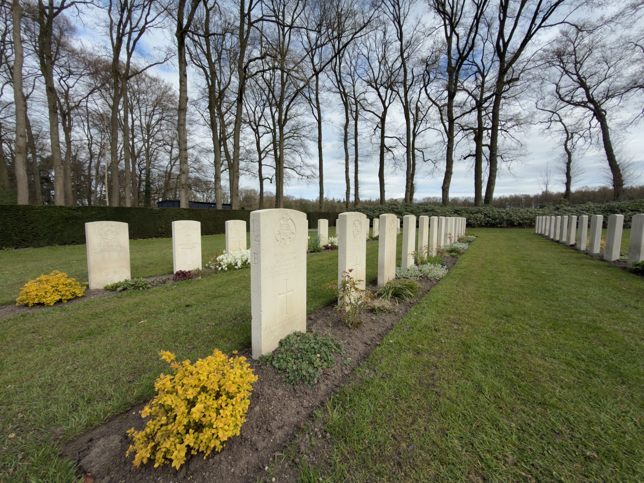 Close-up of white headstones with yellow flowers at Oosterbeek War Cemetery