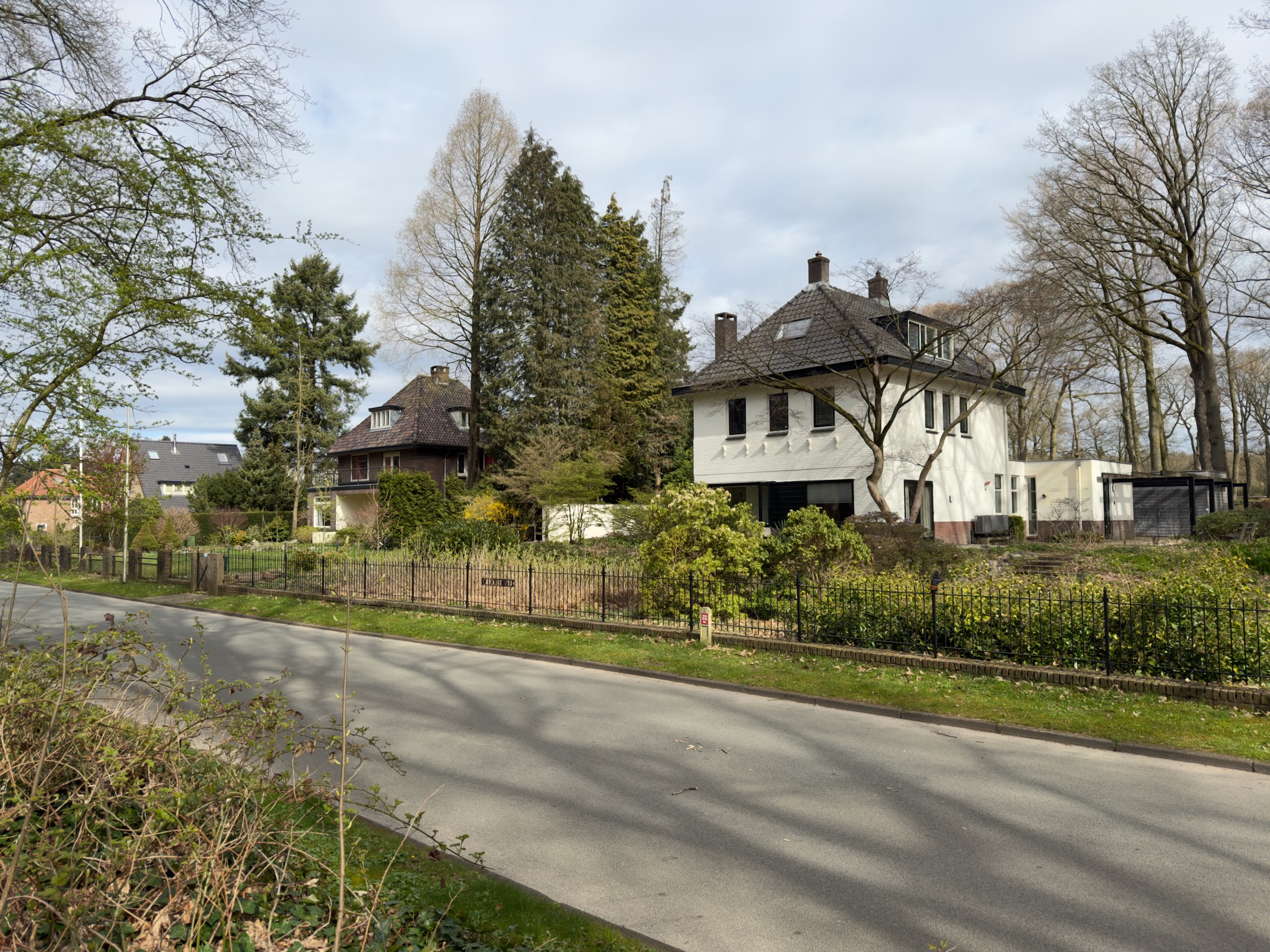 Residential villas along a road in Oosterbeek