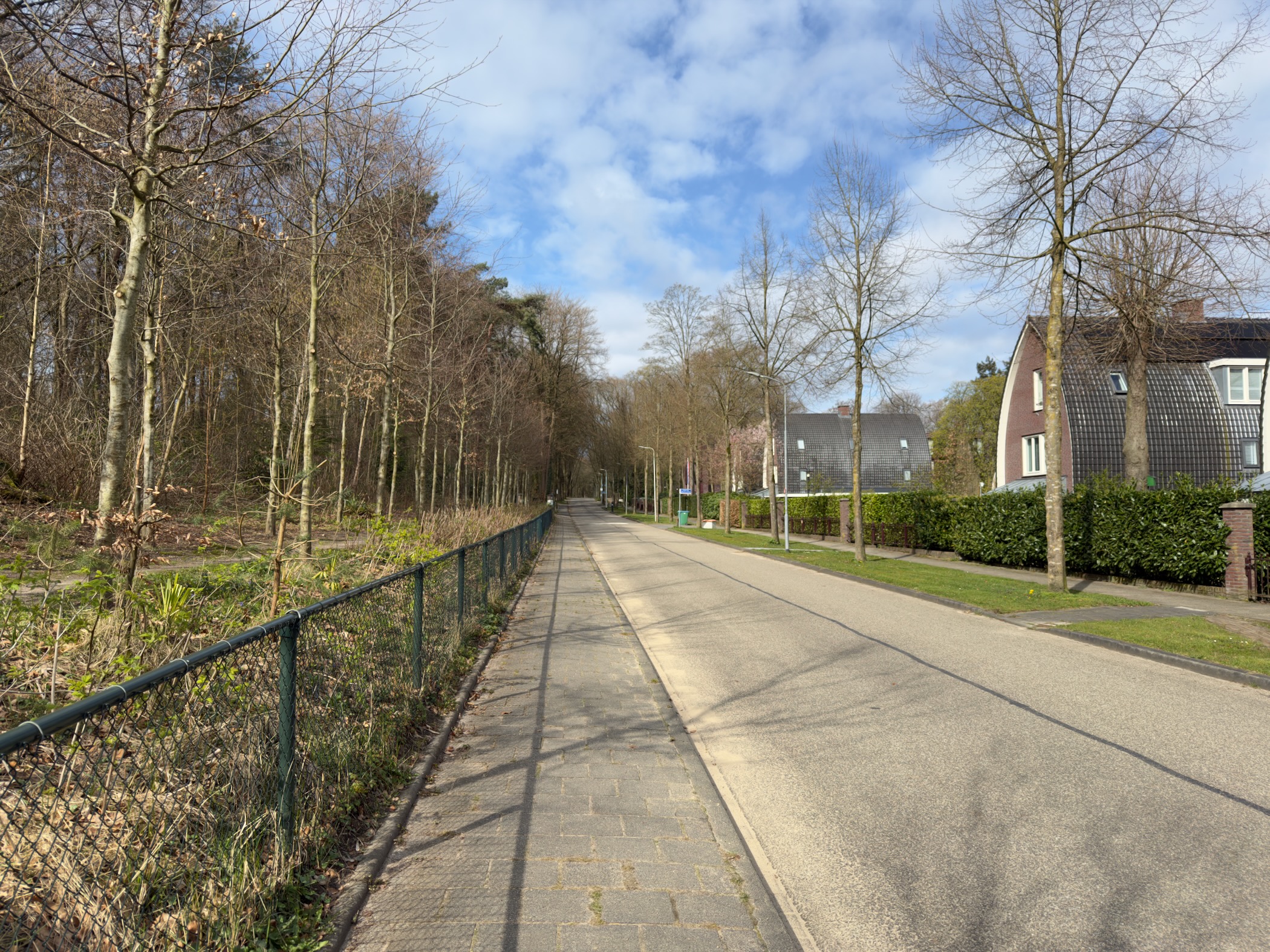 Paved path along a residential area at the edge of woodland