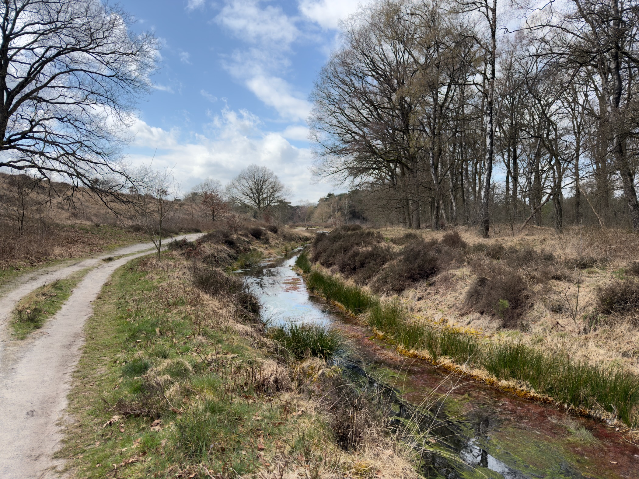 Sandy trail alongside a stream winding through heathland