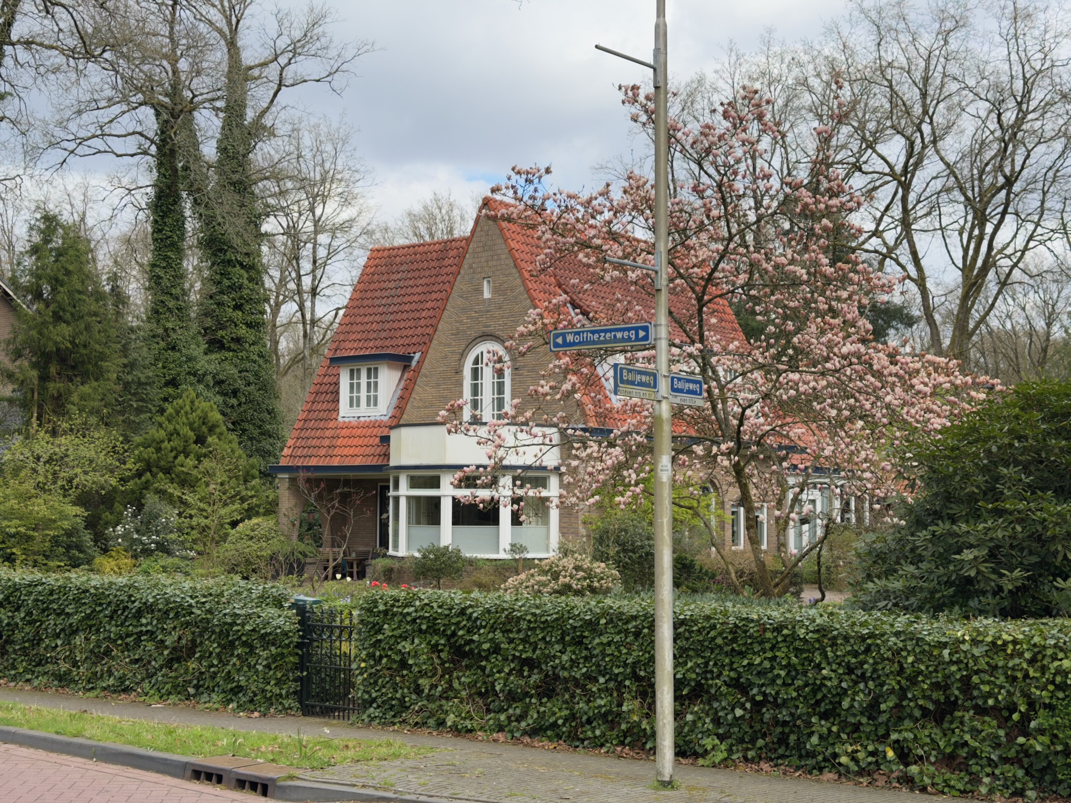 Dutch house with a blooming magnolia tree and street signs in Wolfheze