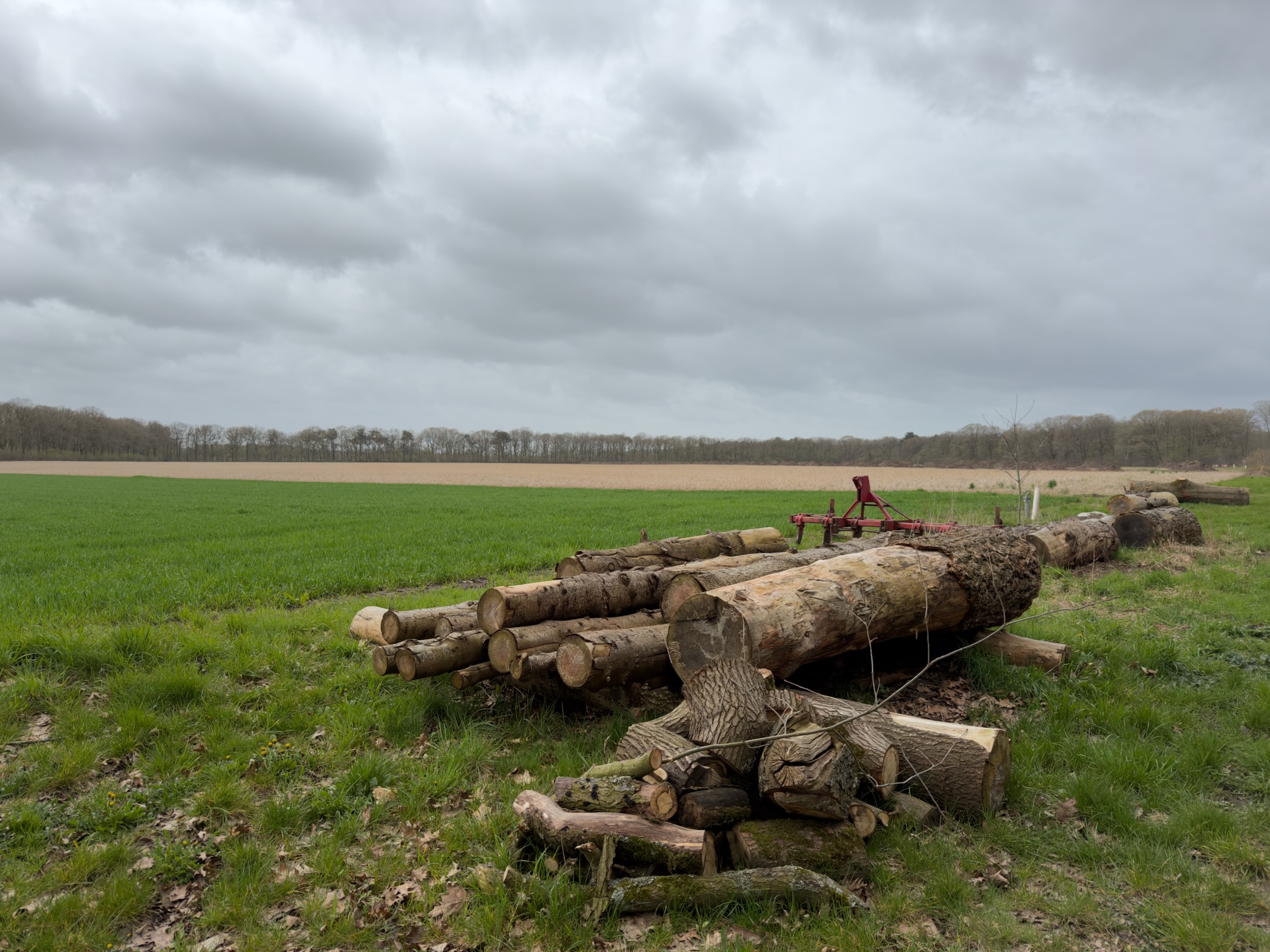 Stacked logs and farming equipment beside a green field under grey clouds