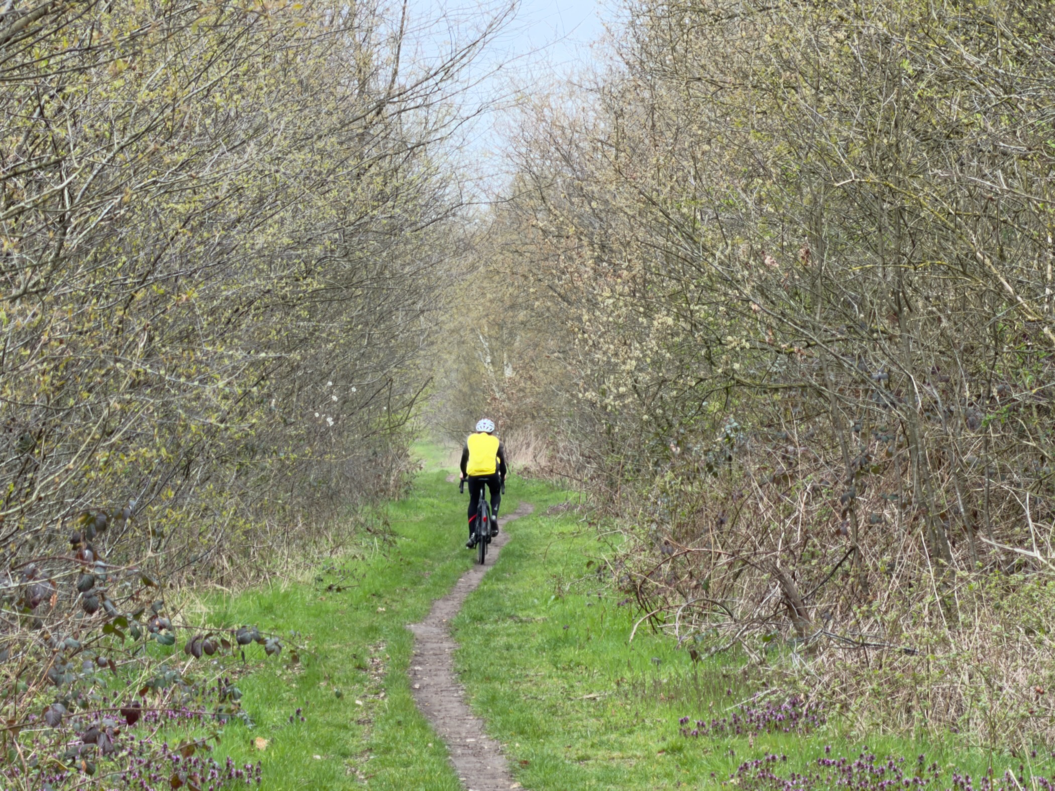Cyclist in a yellow jacket riding a narrow trail through dense bushes