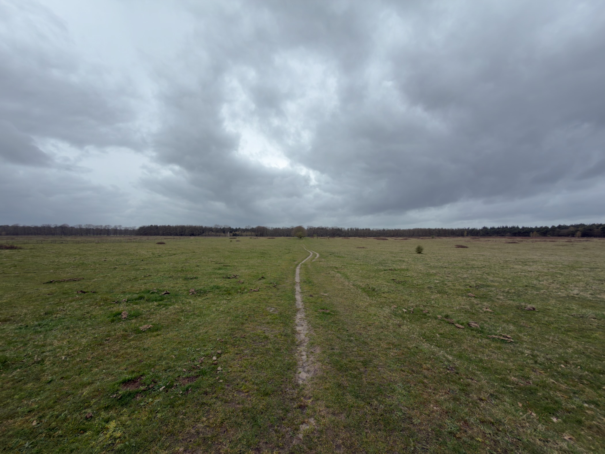Narrow trail winding across a vast open grassland under dramatic grey clouds