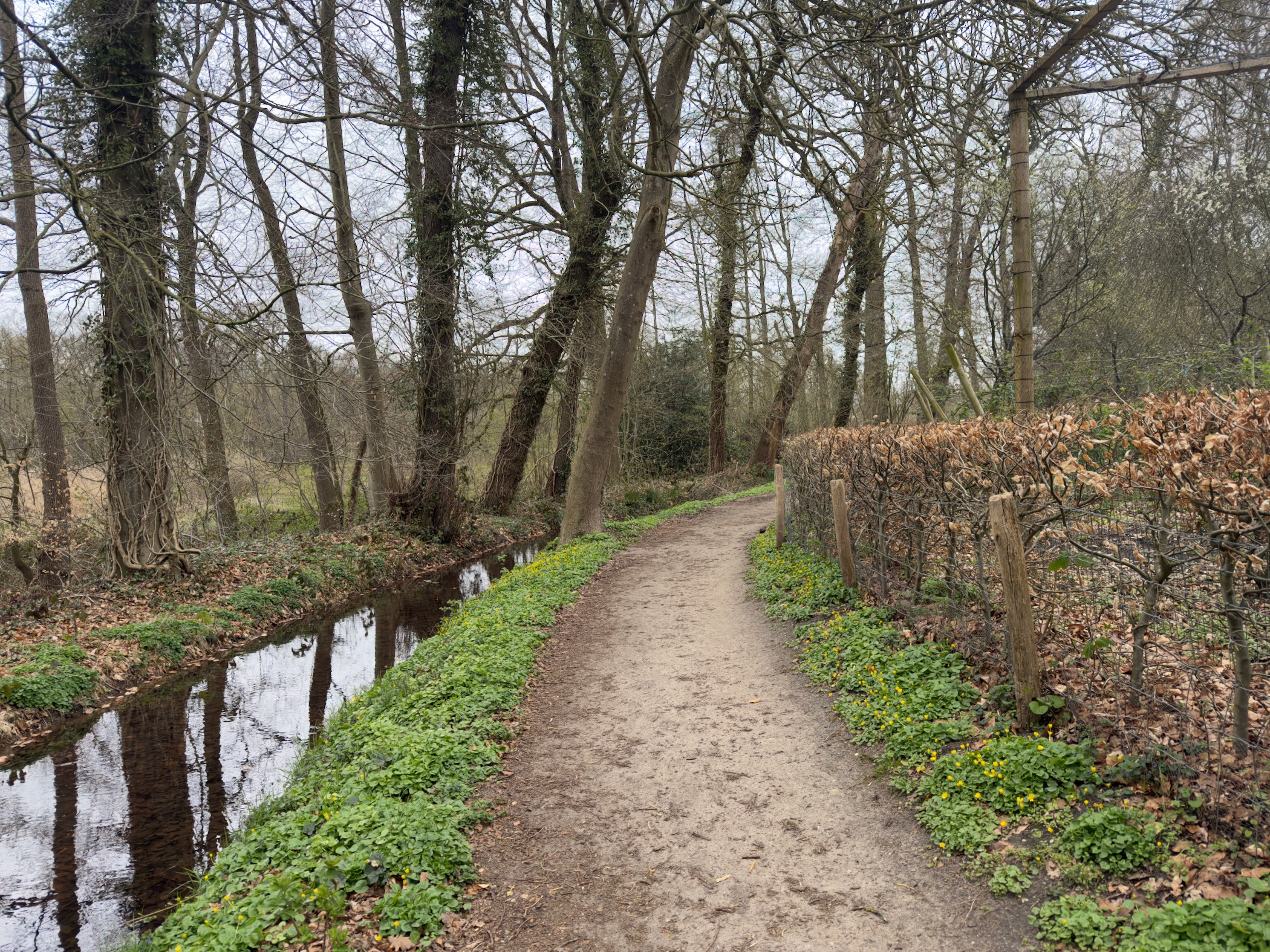 Sandy path between a stream and a beech hedge with wild garlic