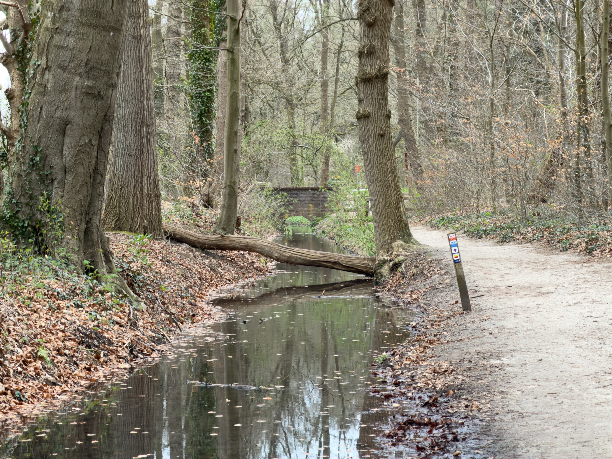 Stream with a fallen tree trunk and a waymark post in woodland